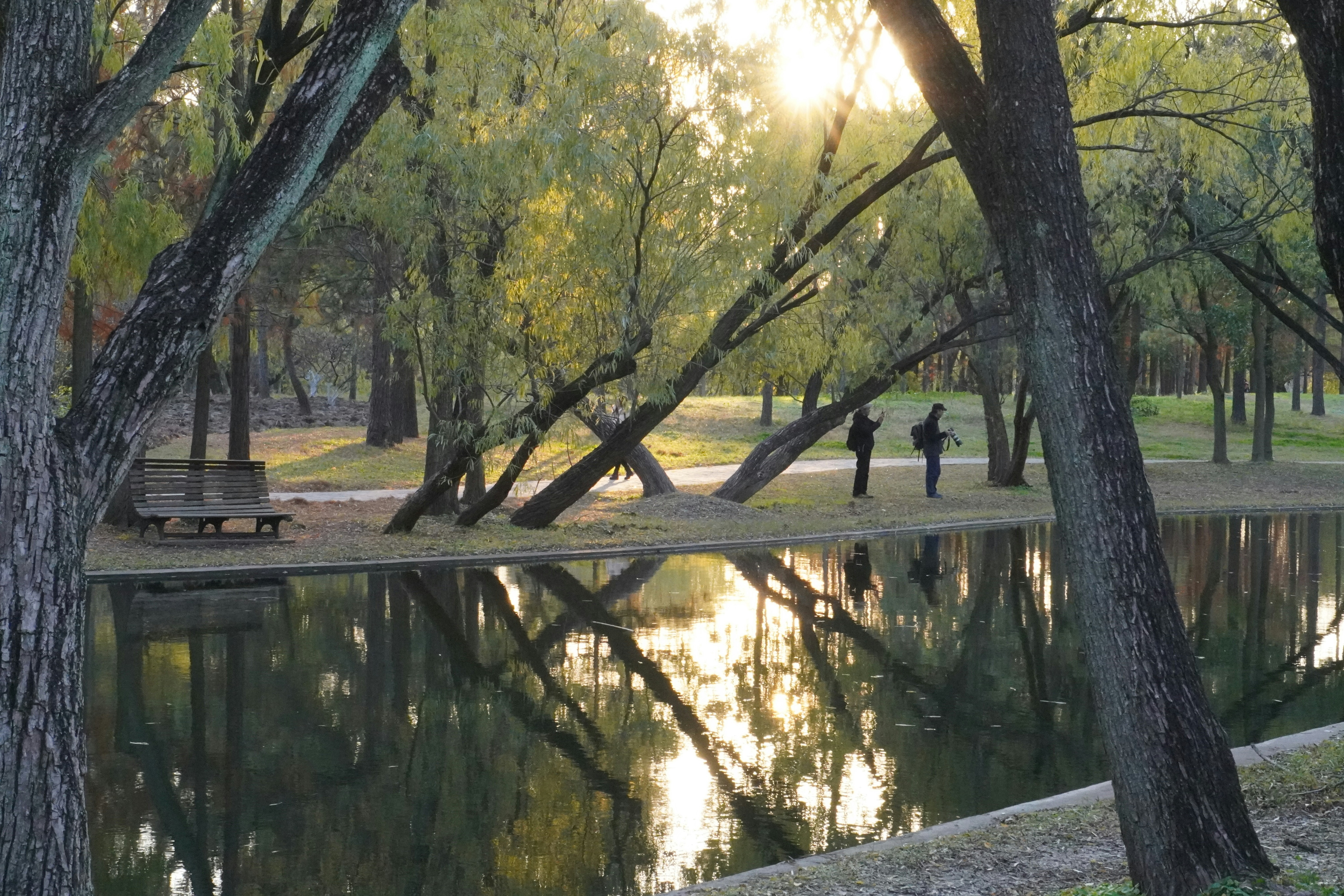 Photo by sakamotomari