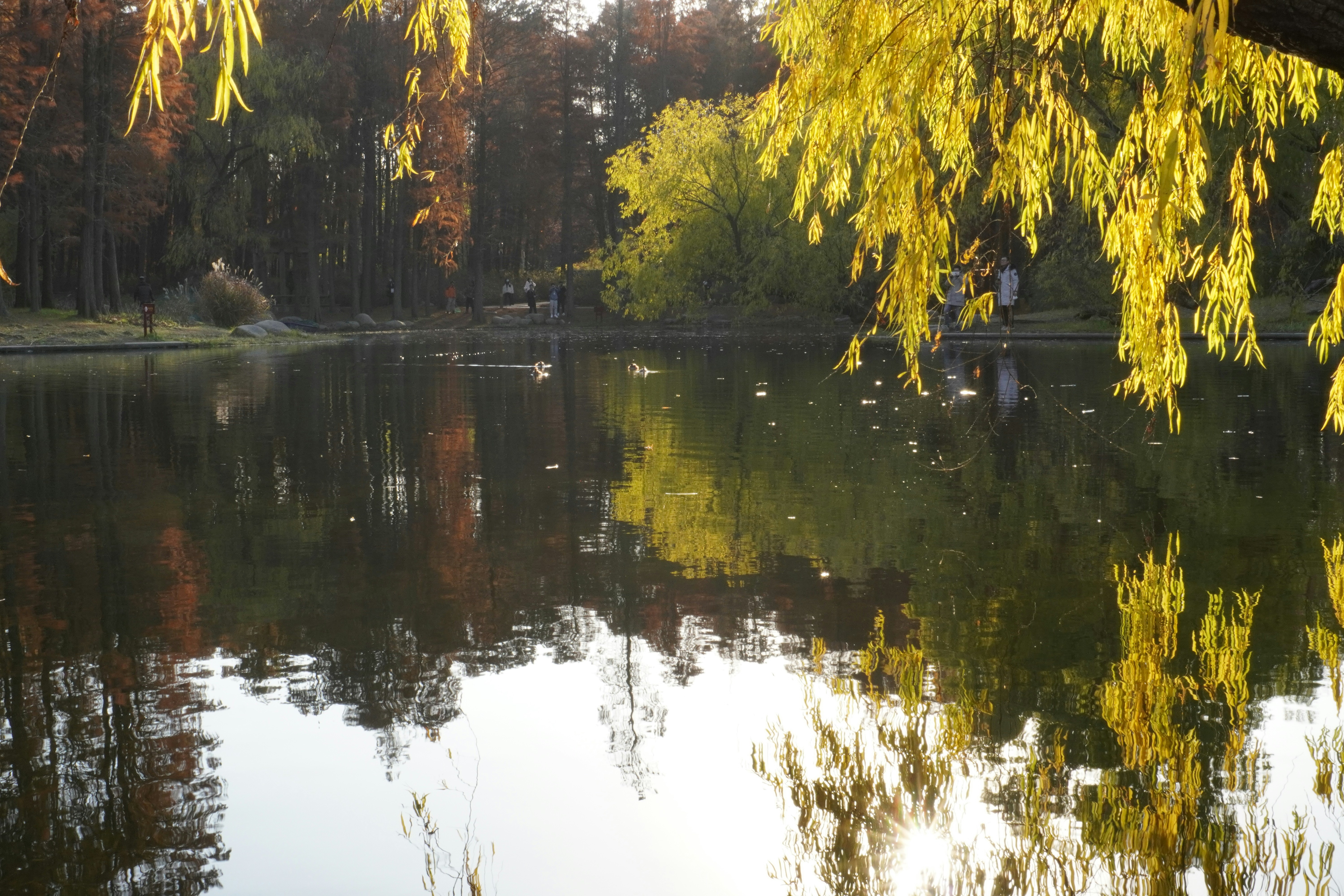 Photo by sakamotomari