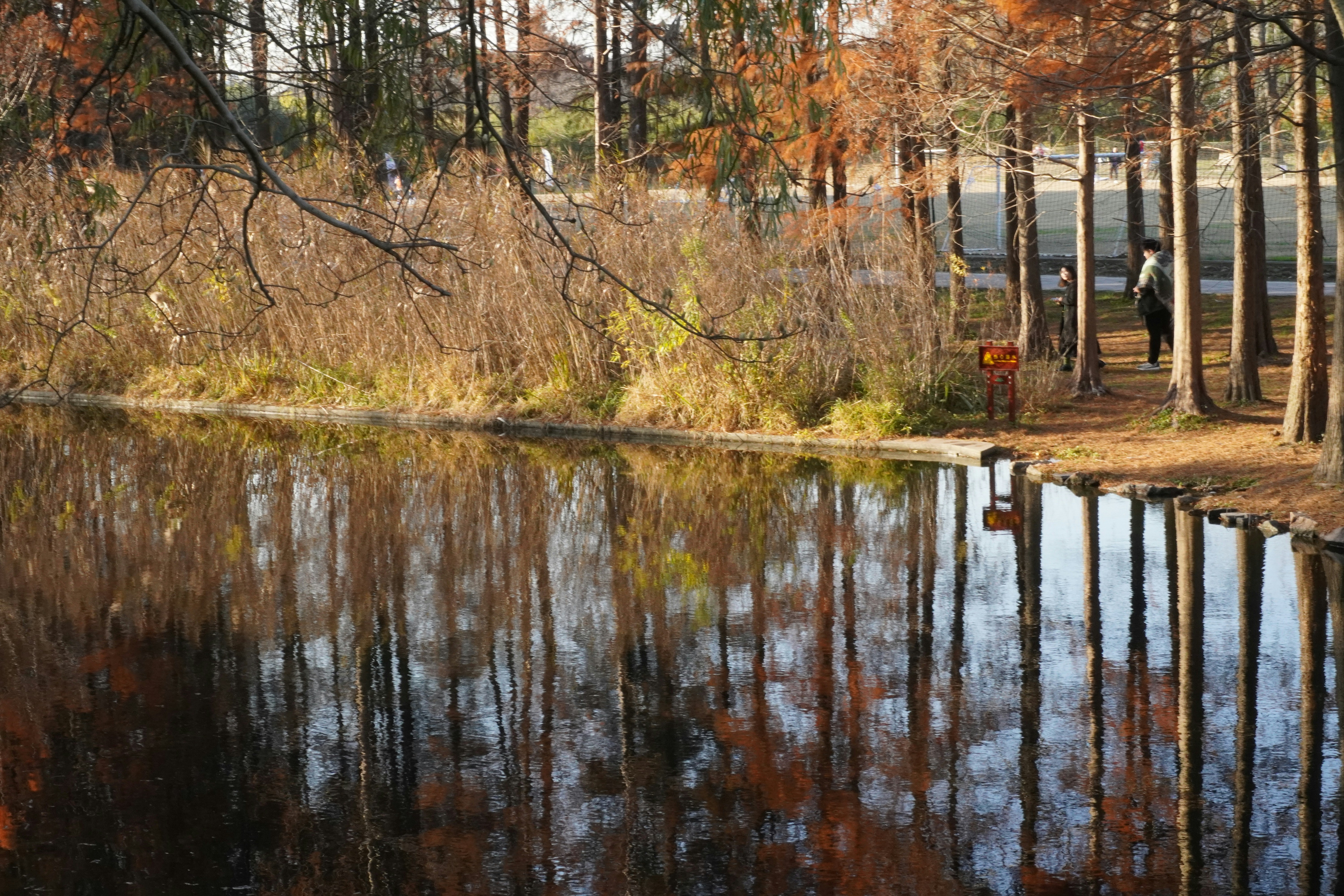 Photo by sakamotomari