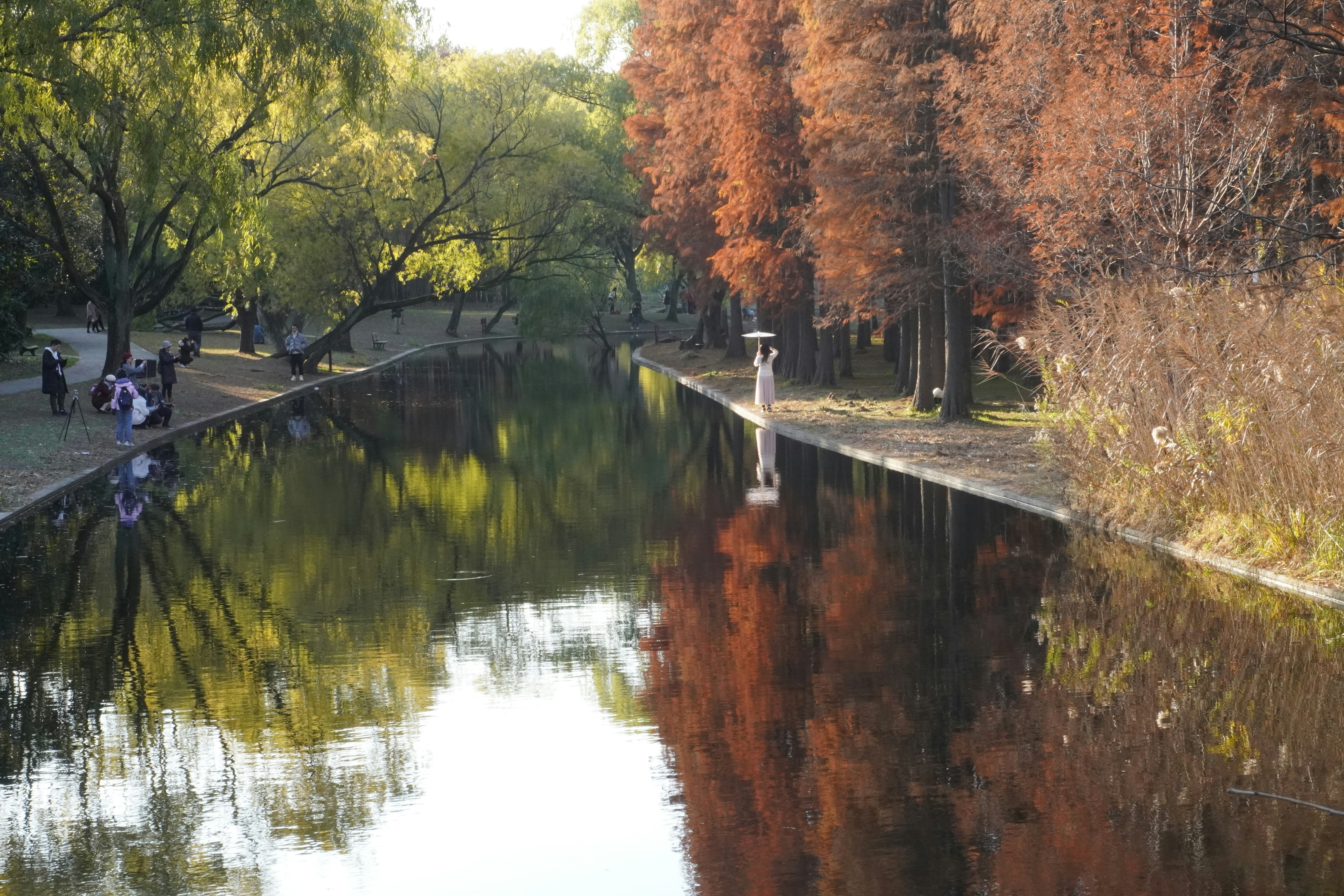 Photo by sakamotomari