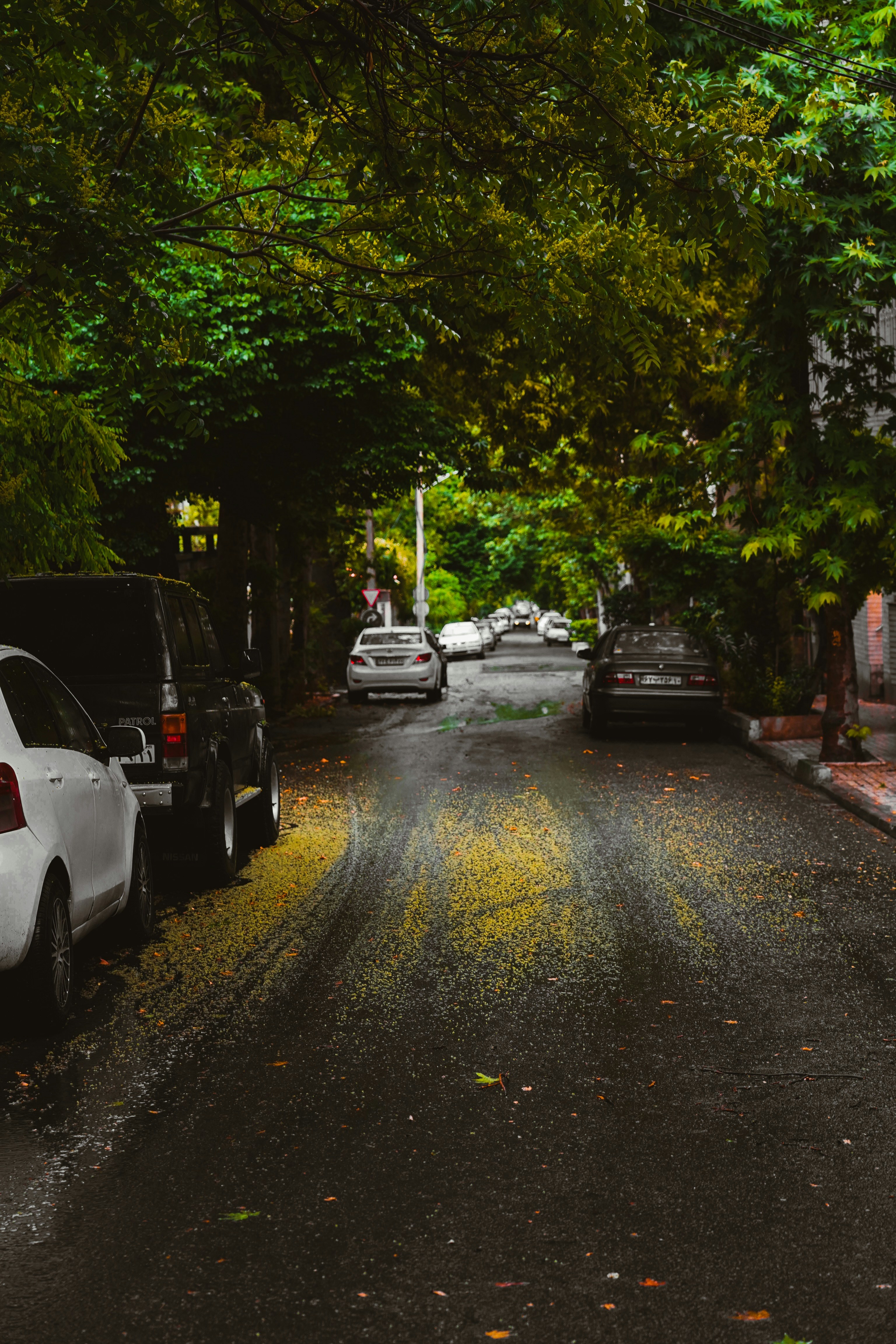 Photo by kiarash_mansouri