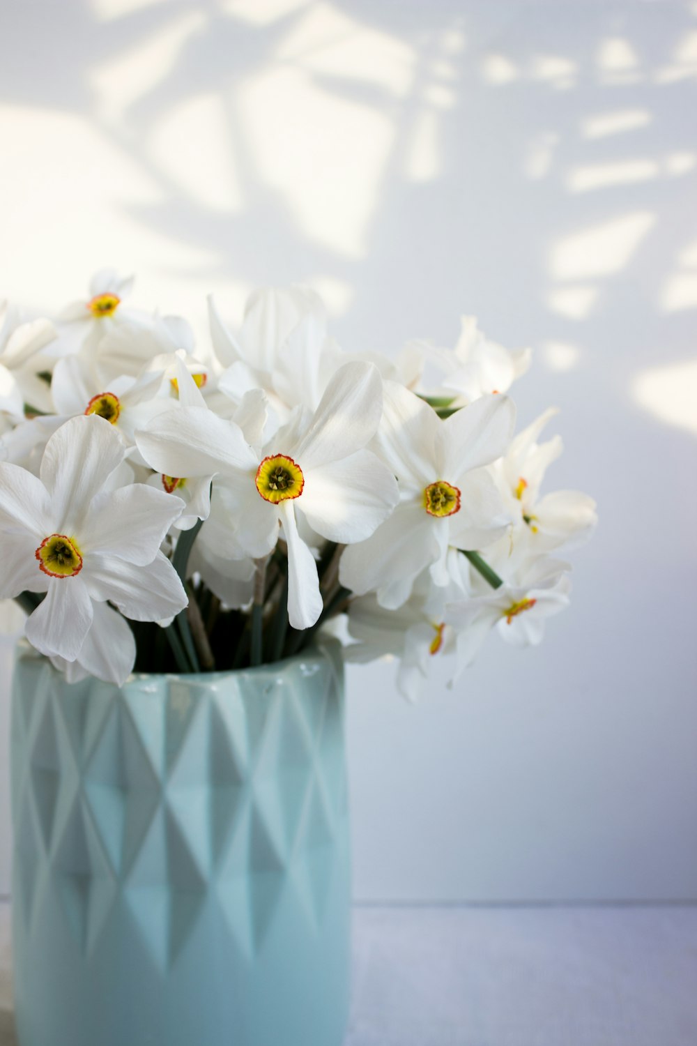 fleurs blanches dans un vase à carreaux bleu et blanc