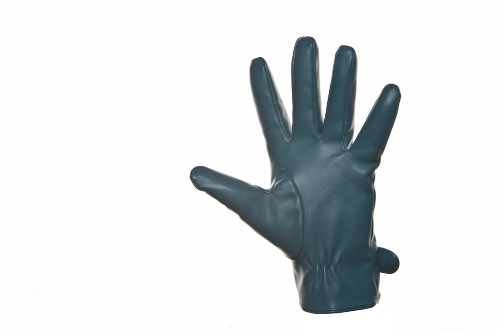 black leather gloves on white background