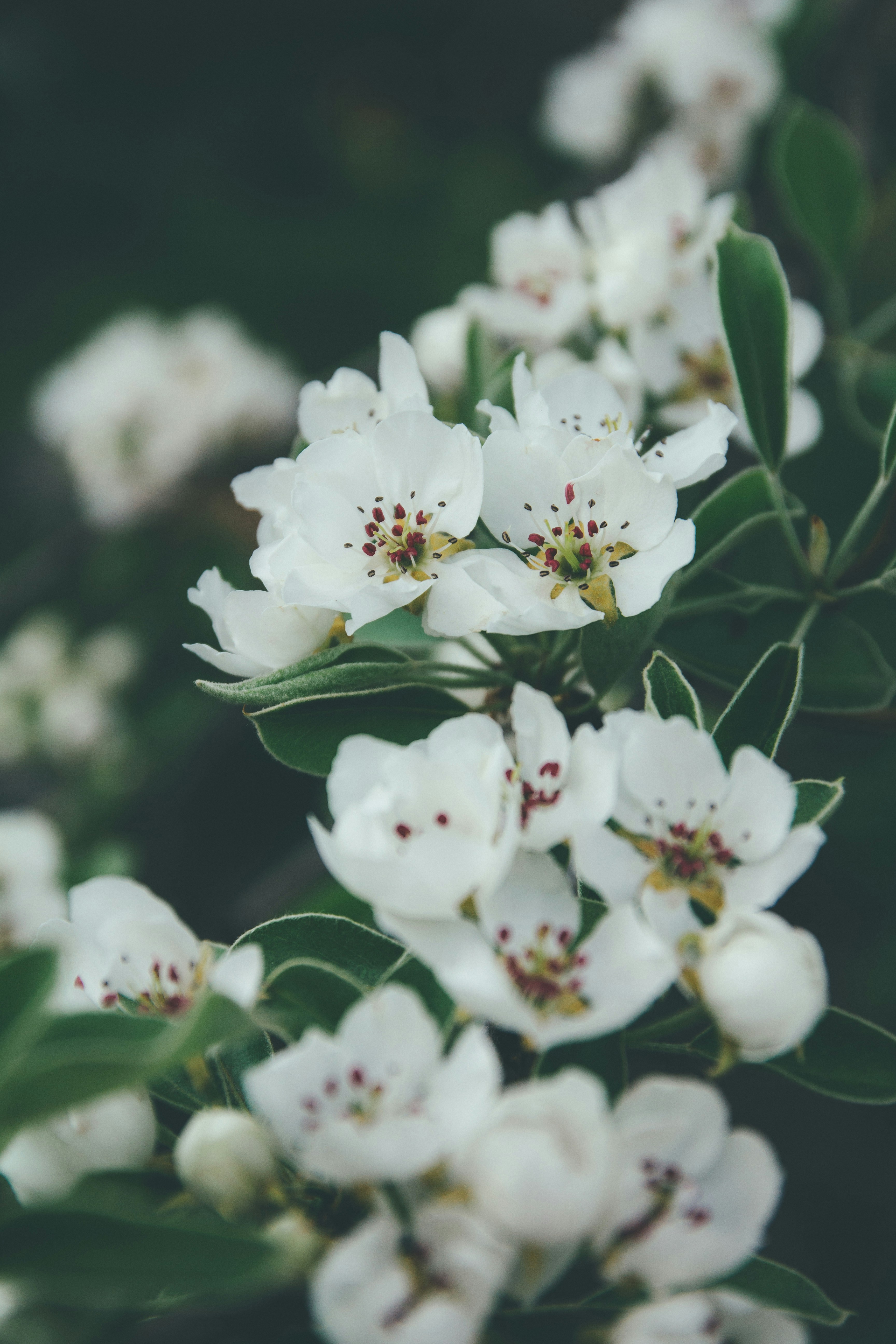 Photo by onmywayhome