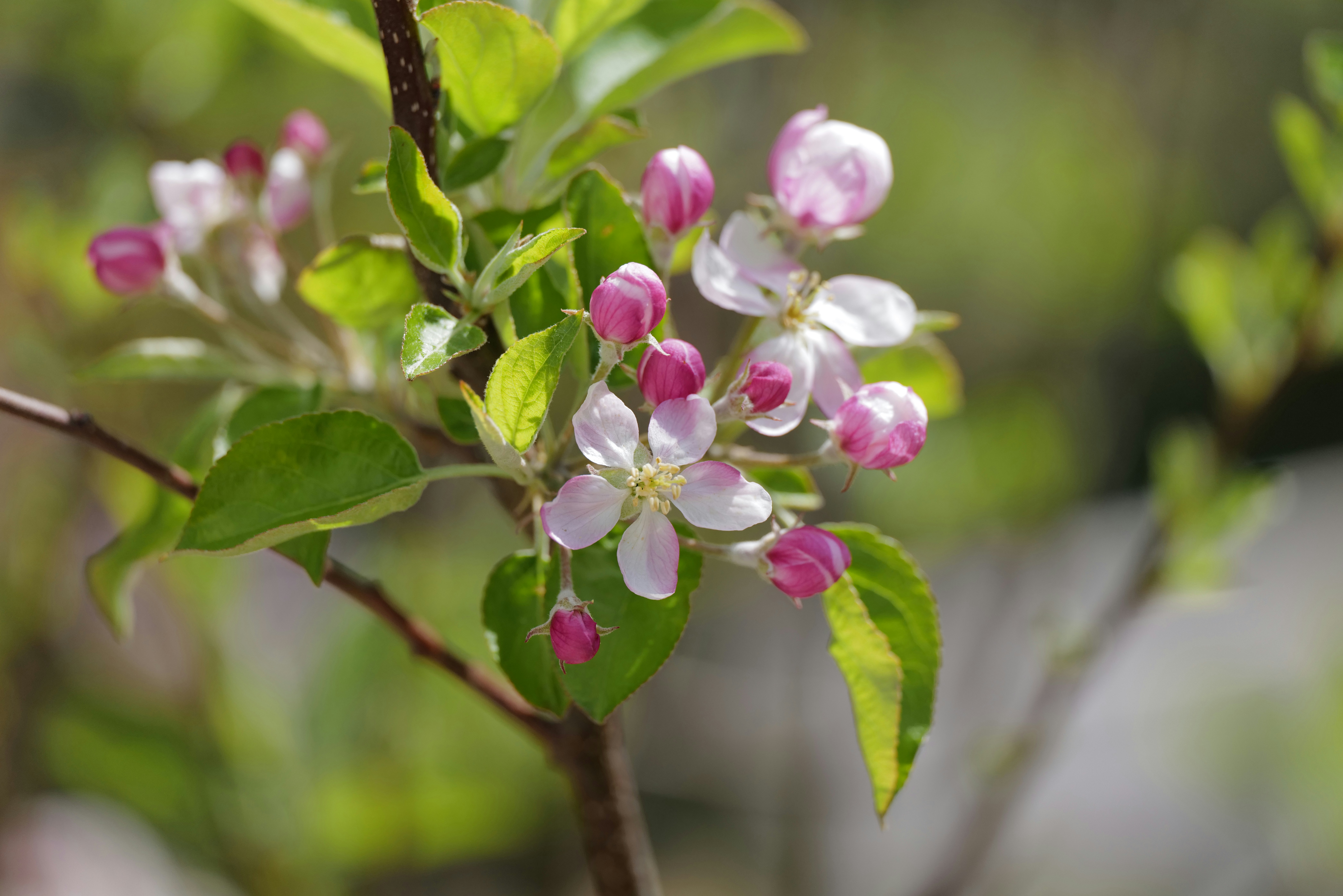 Photo by georgeiermann