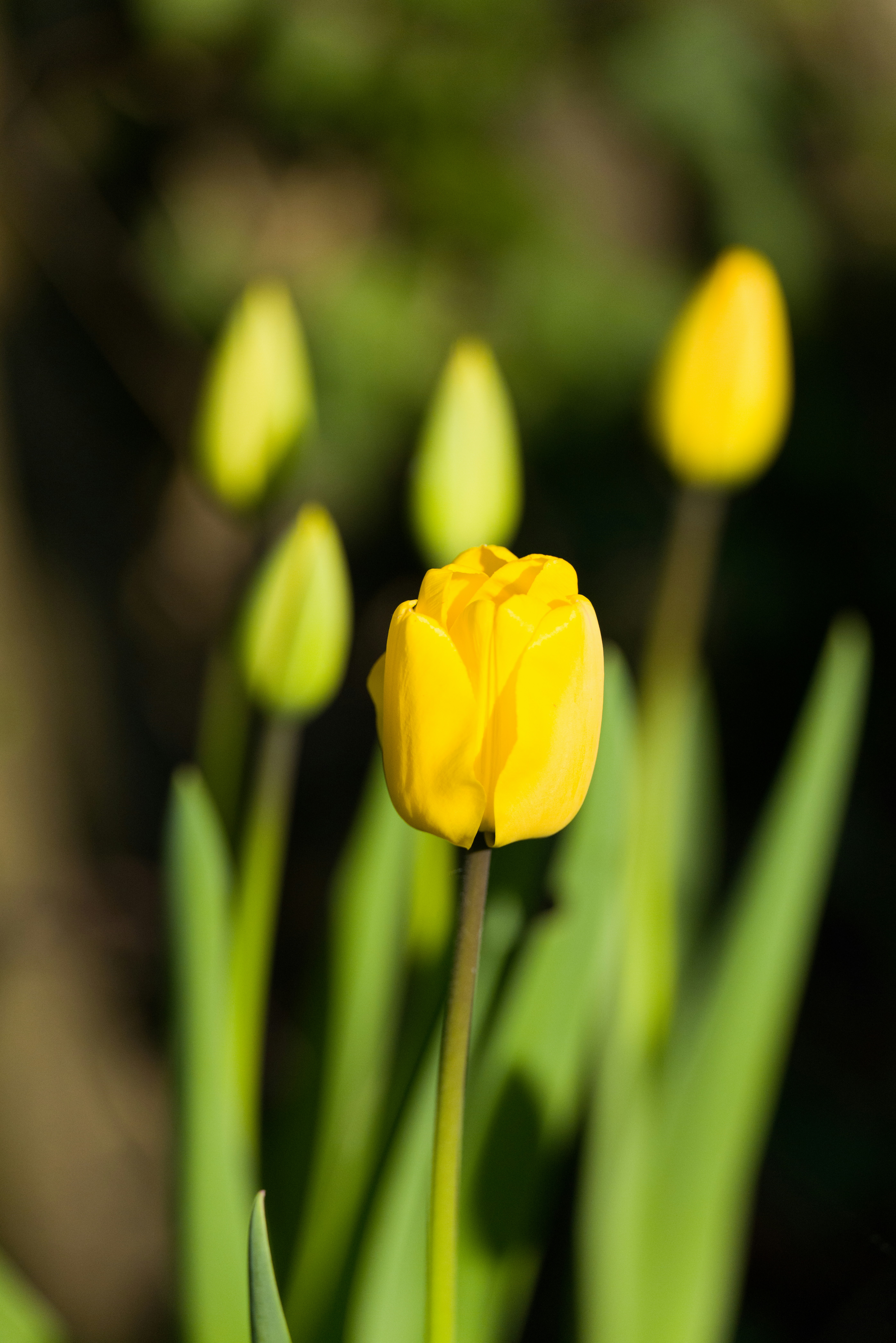 Photo by georgeiermann