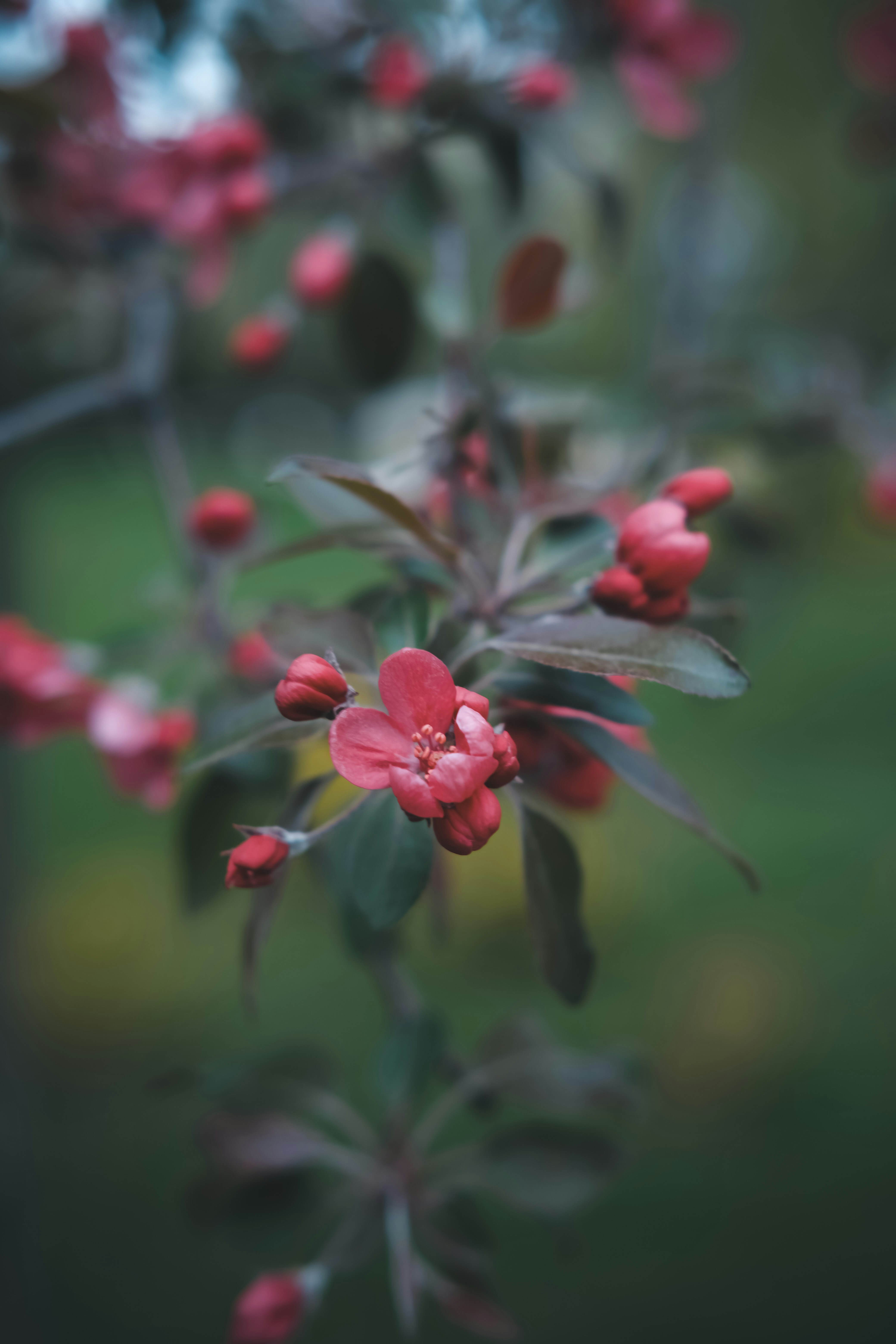 Photo by create4eyes