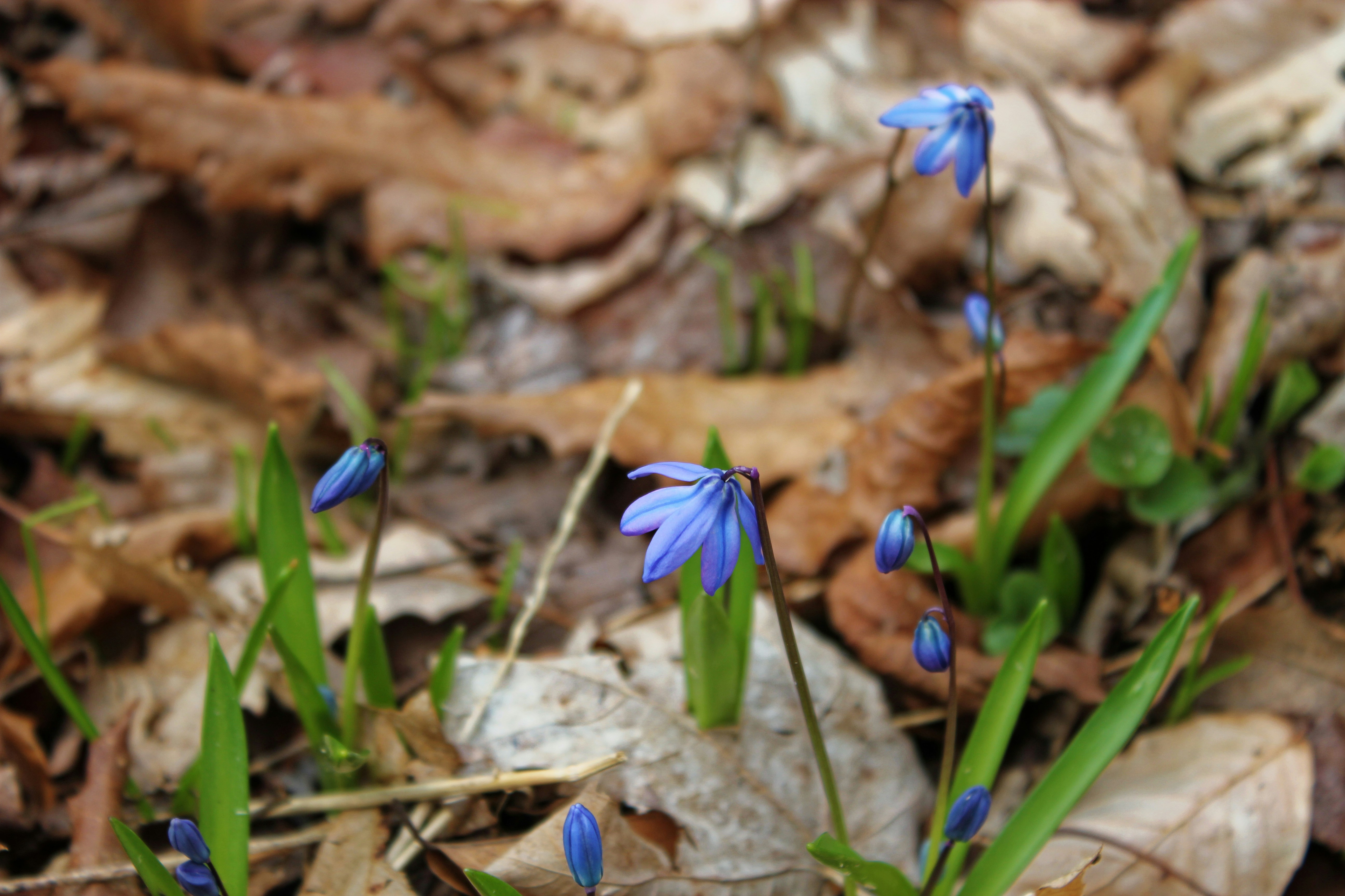 Photo by mrgreatheart