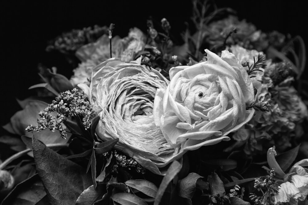 greyscale photo of rose bouquet