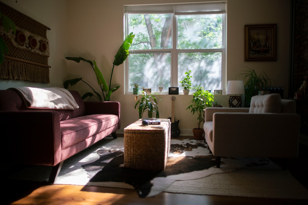 green potted plant on white table,