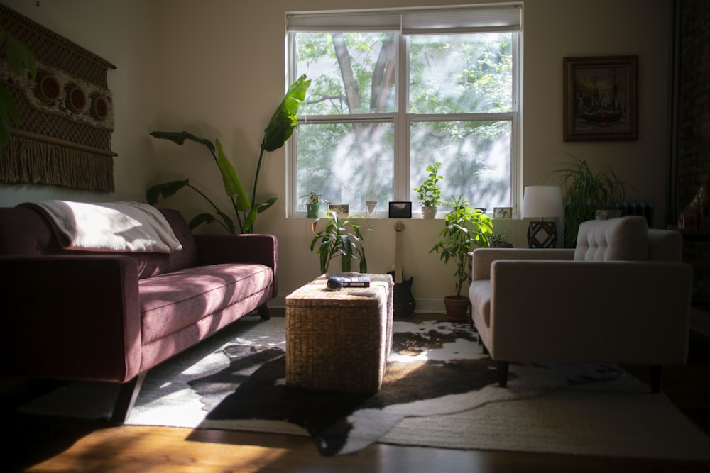 green potted plant on white table