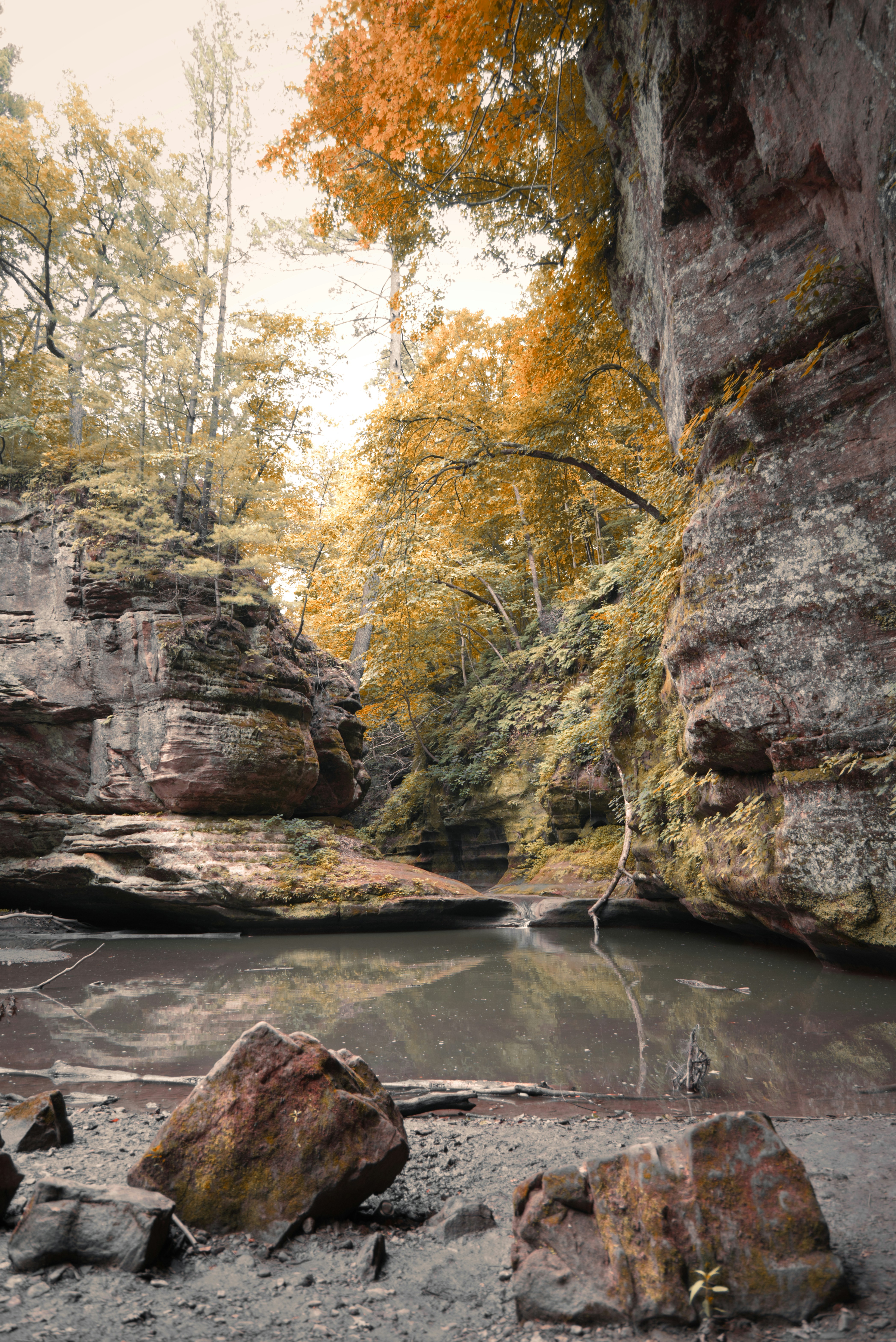 Photo by ldpeterson11