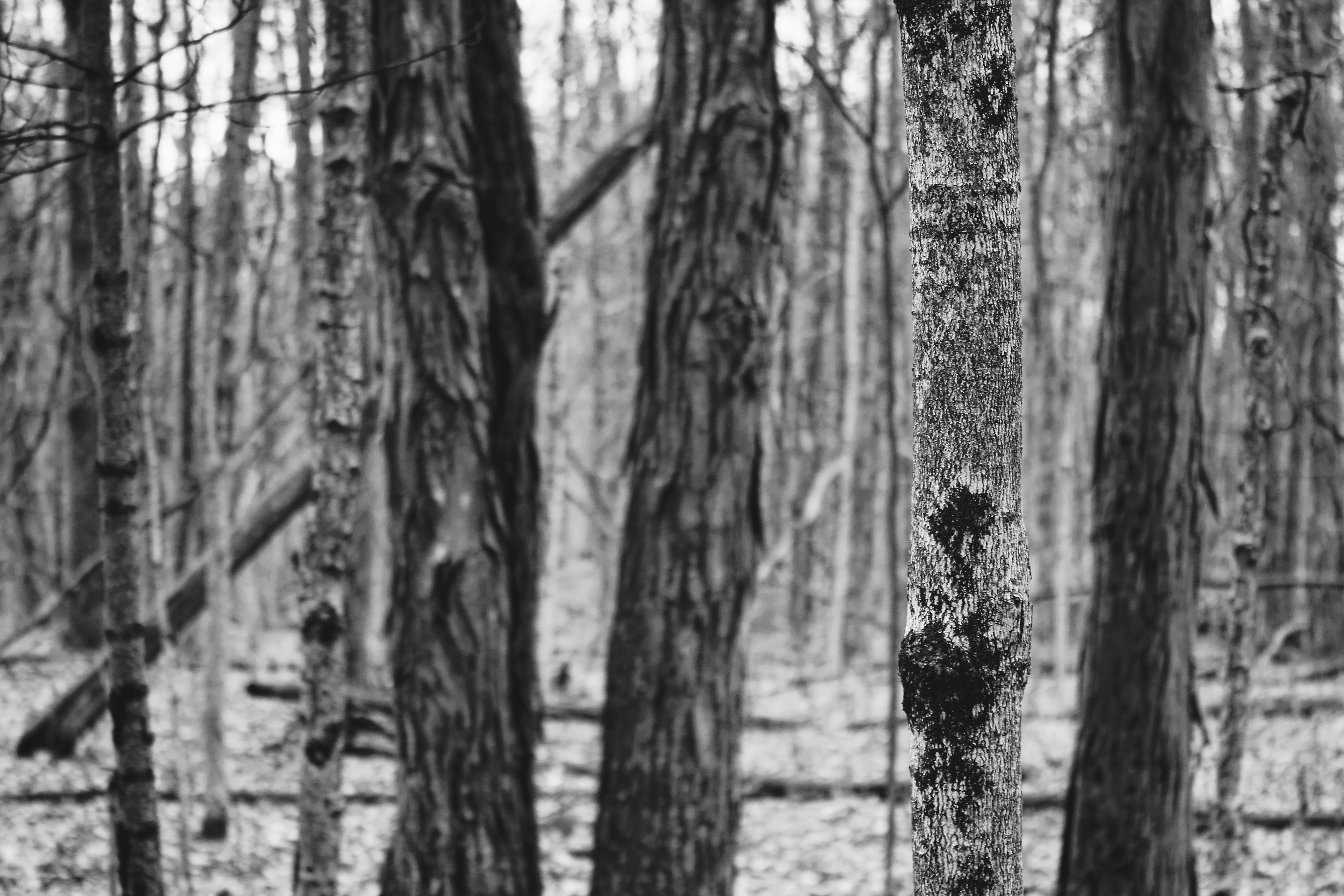 Photo by mrgreatheart