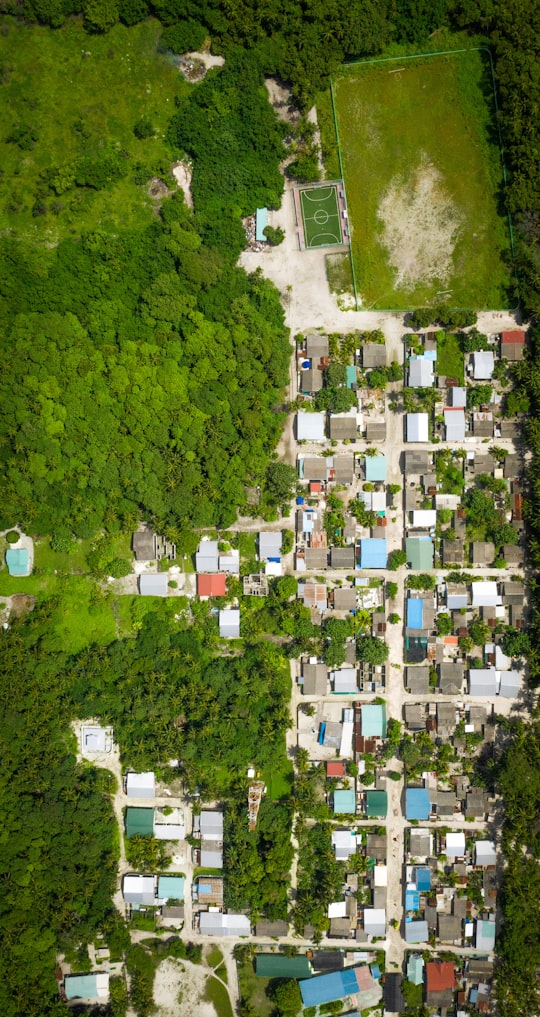 aerial view of houses and trees in Naivaadhoo Maldives