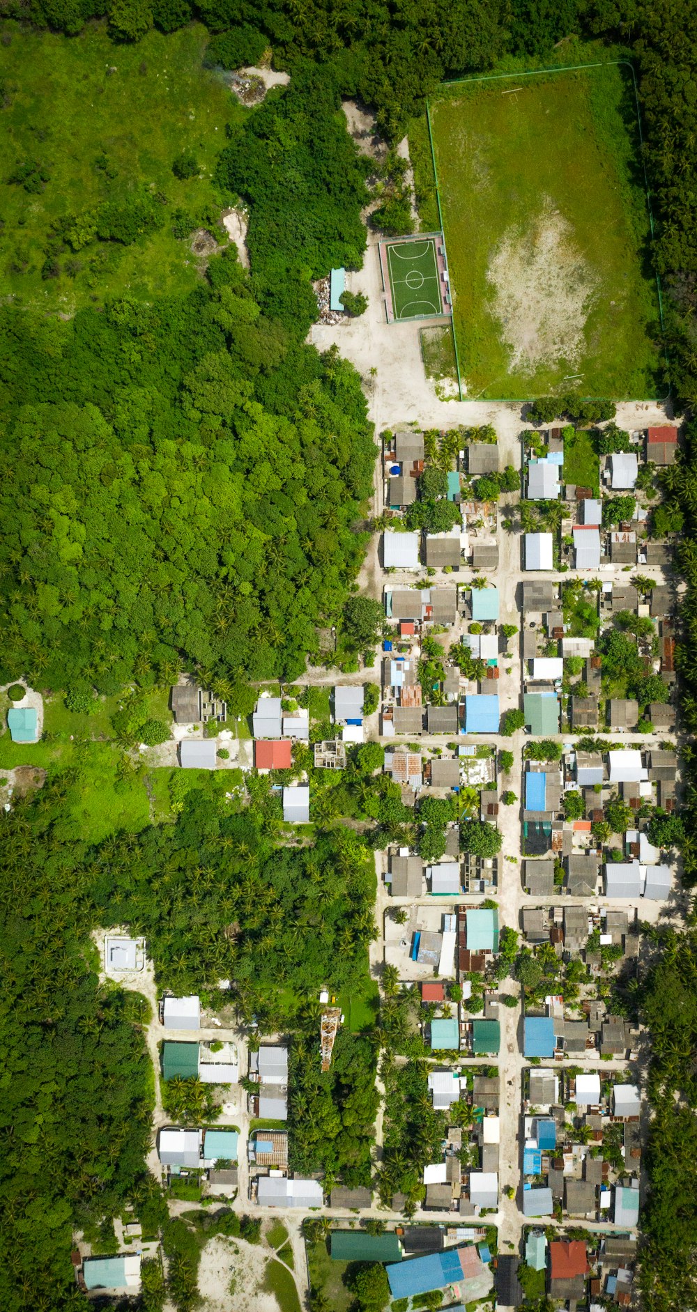 aerial view of houses and trees