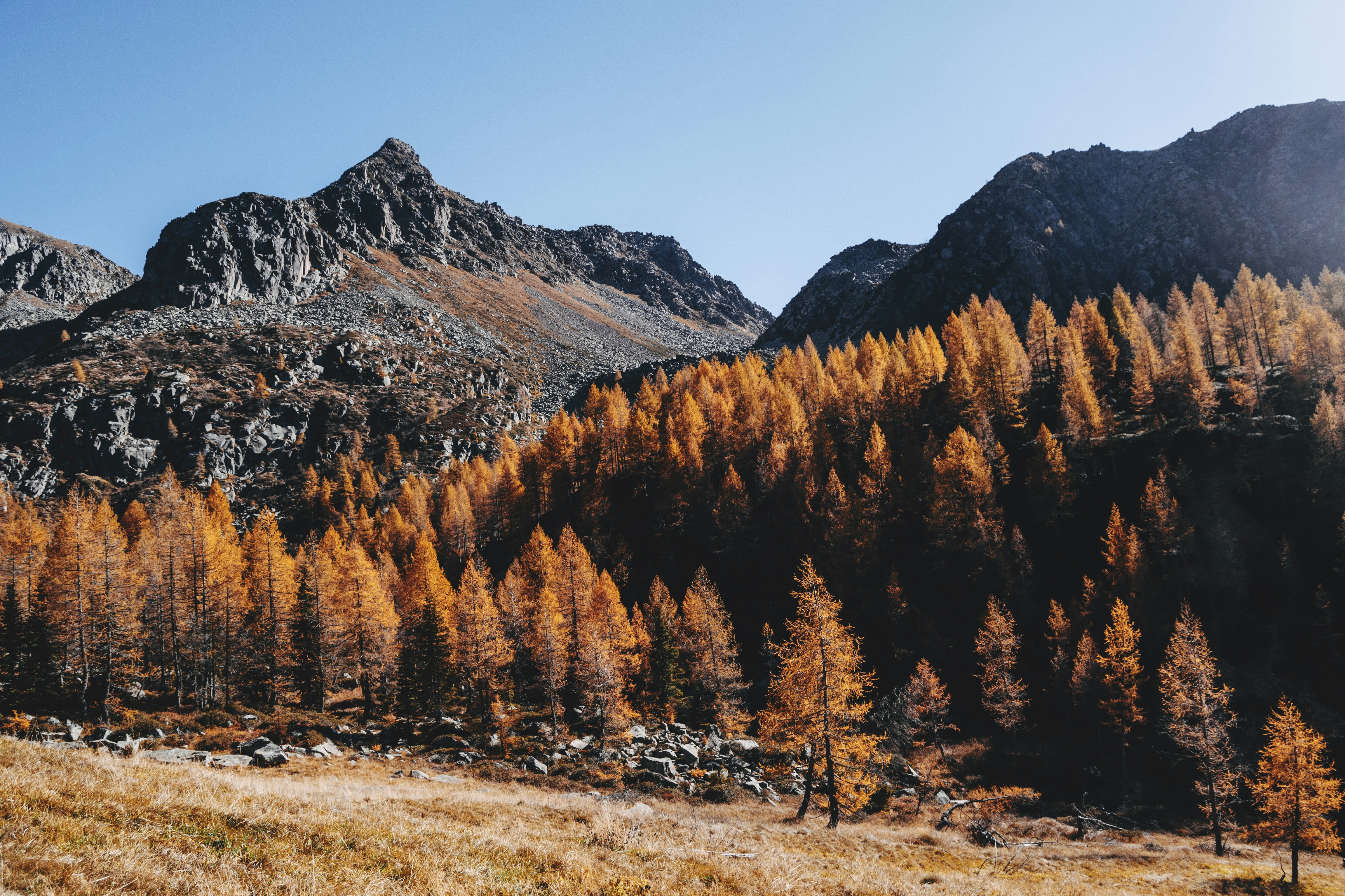 Photo by little_anne