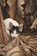 A small black and white cat with large eyes peers through dried leaves and bark, suggesting a curious or inquisitive behavior. The environment appears to be natural or outdoors, with a mix of earthy tones from the dried vegetation surrounding the cat.