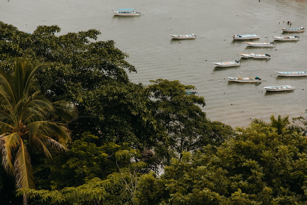 white boat on body of water during daytime