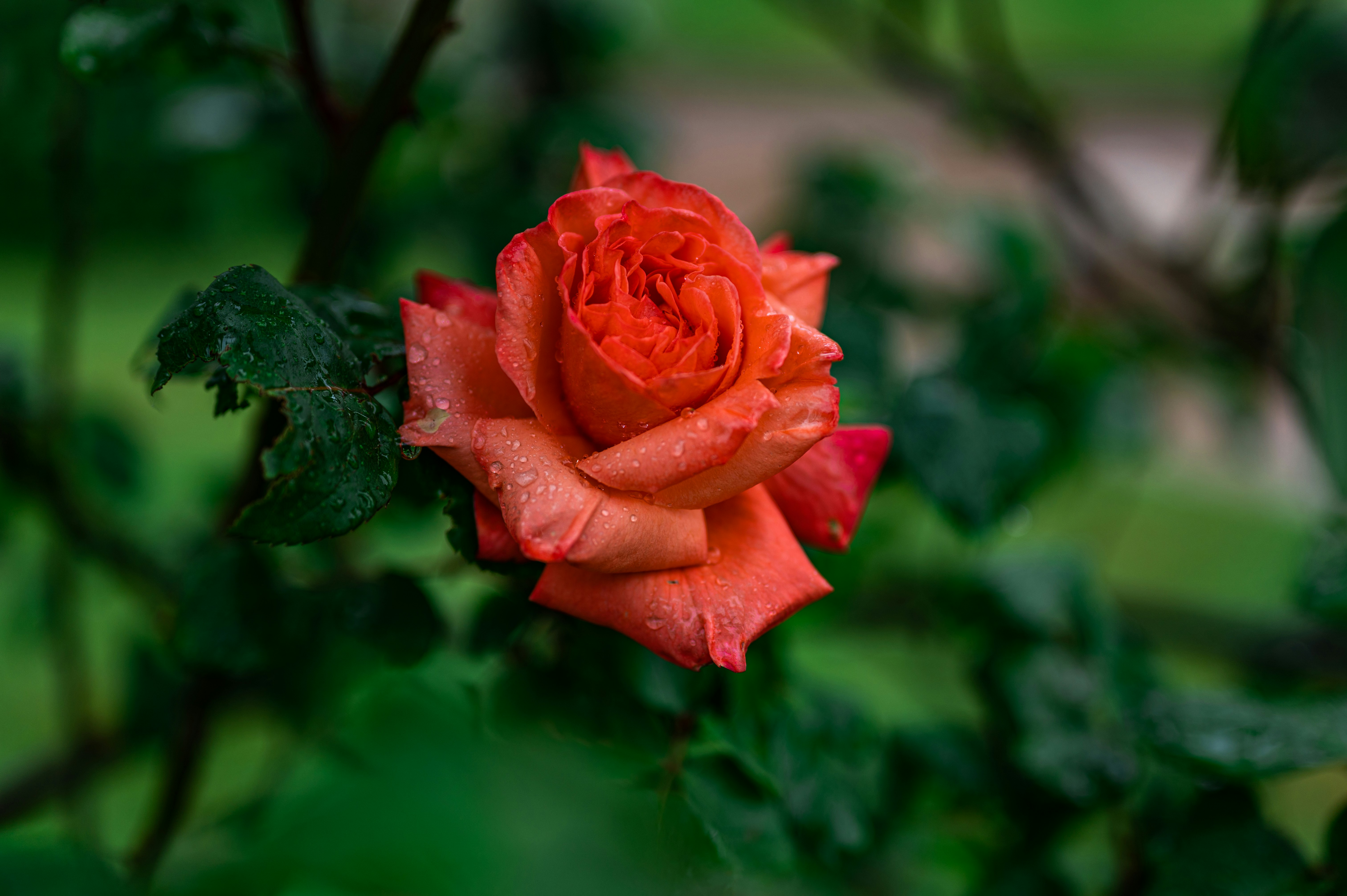 Photo by andreasbrun