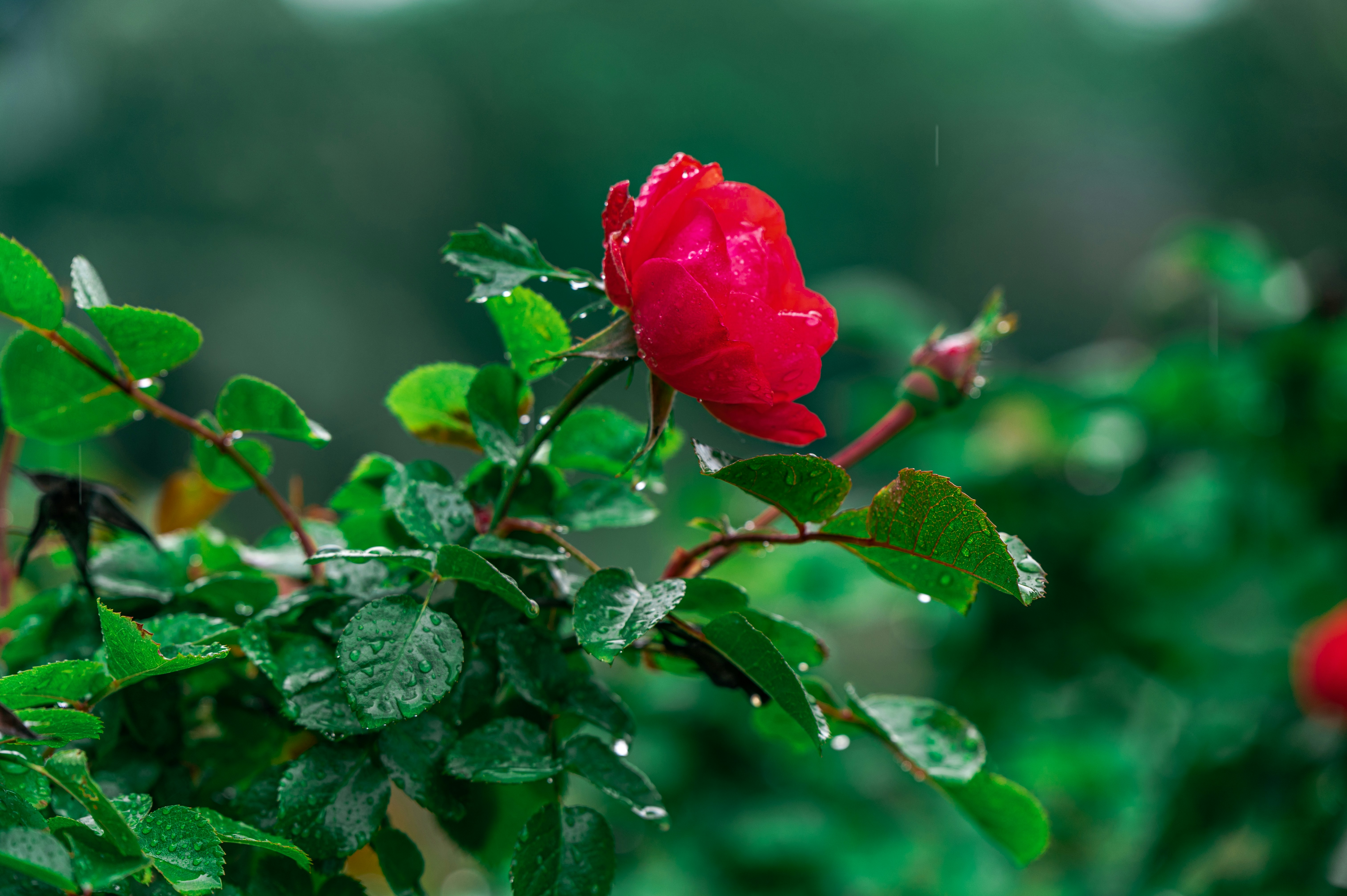 Photo by andreasbrun