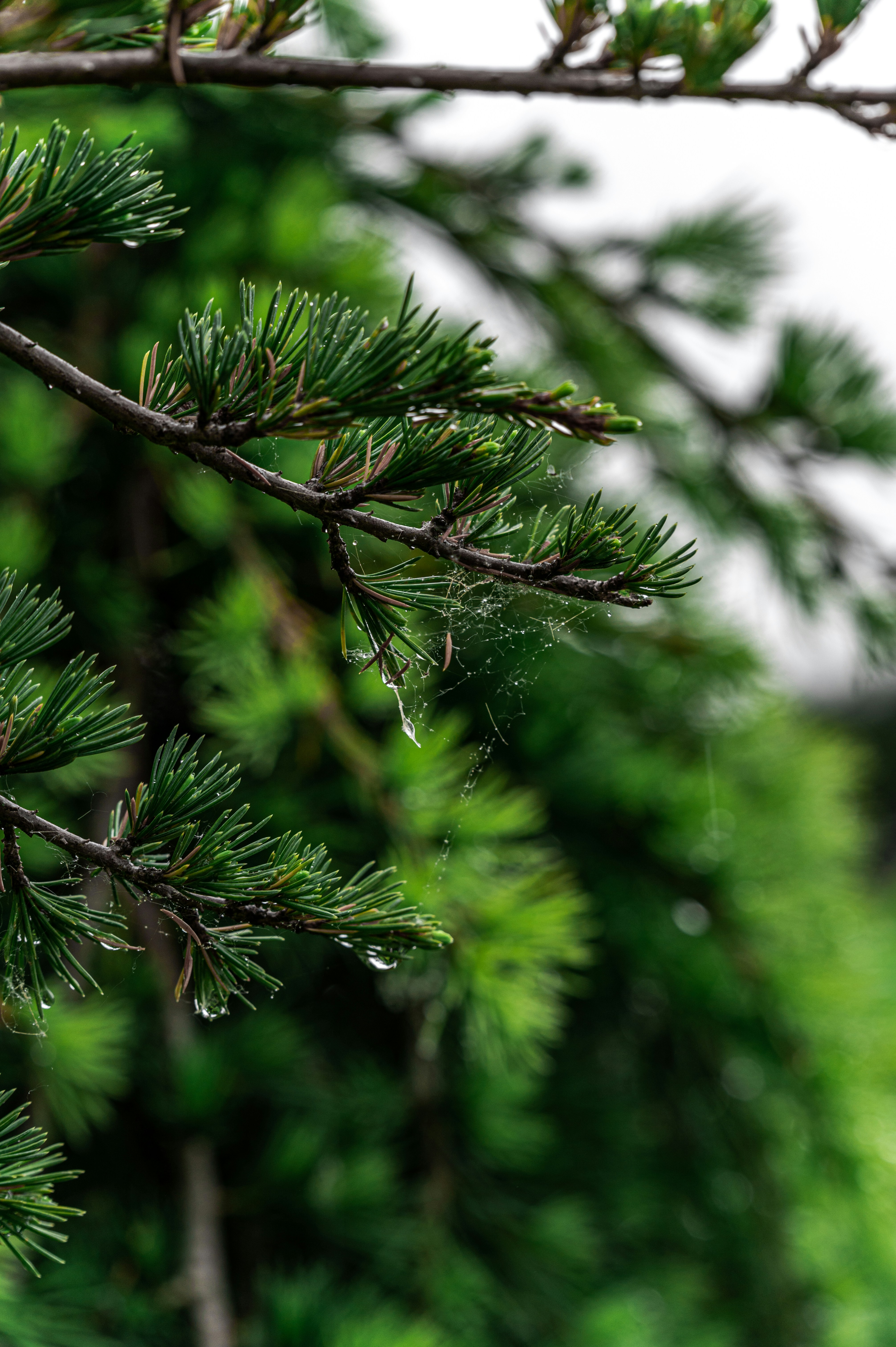 Photo by andreasbrun