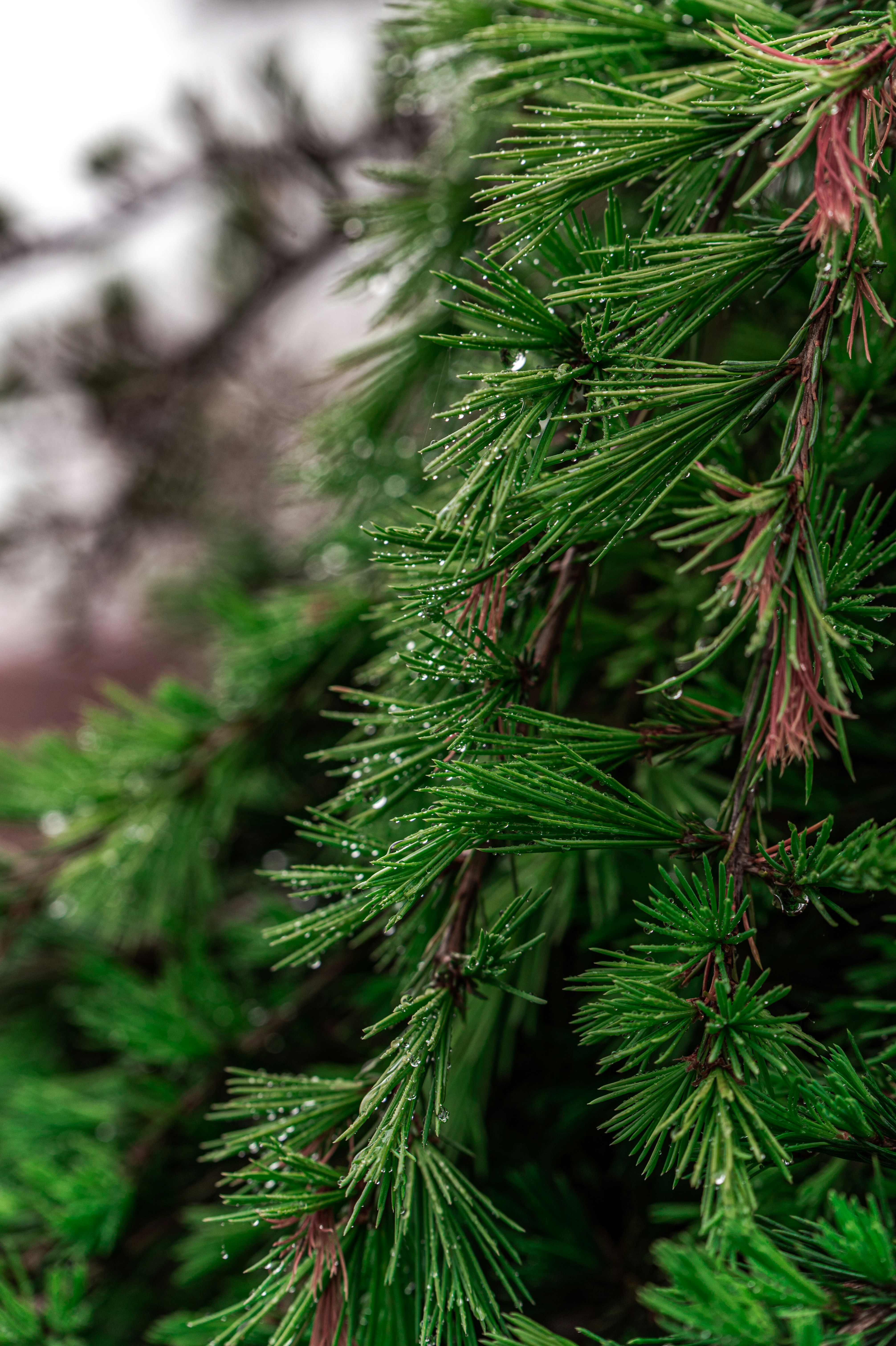 Photo by andreasbrun