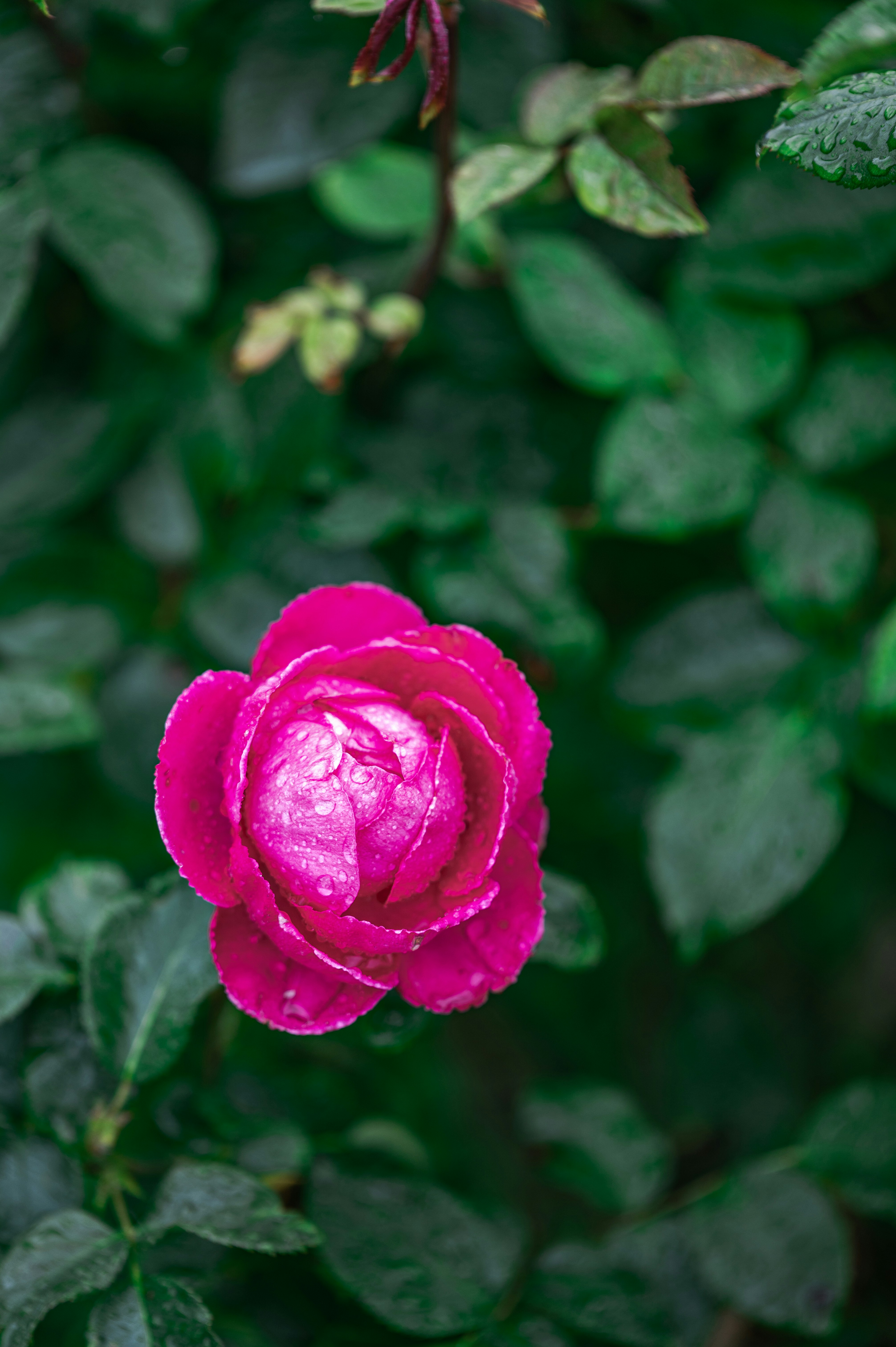 Photo by andreasbrun