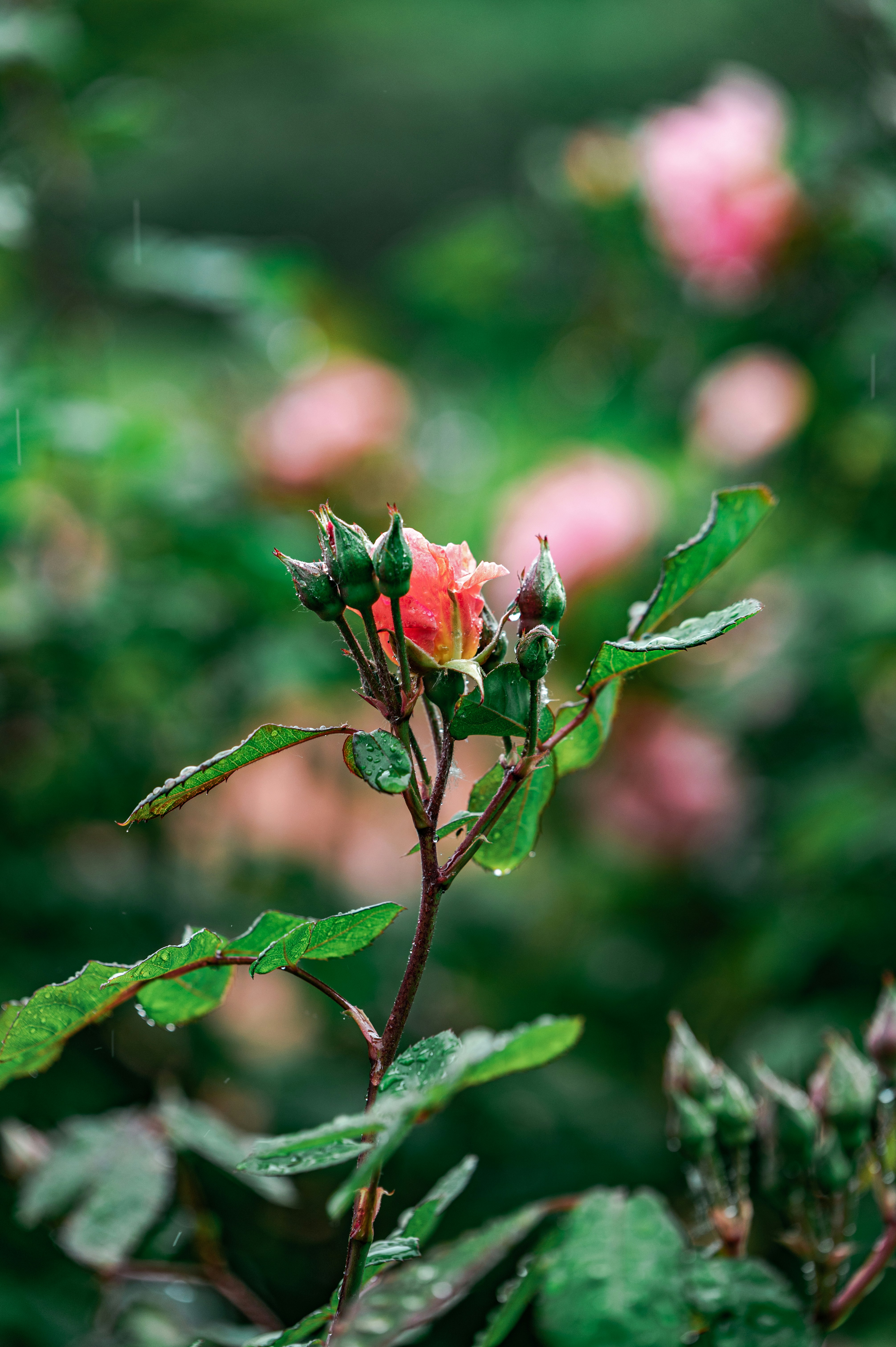 Photo by andreasbrun