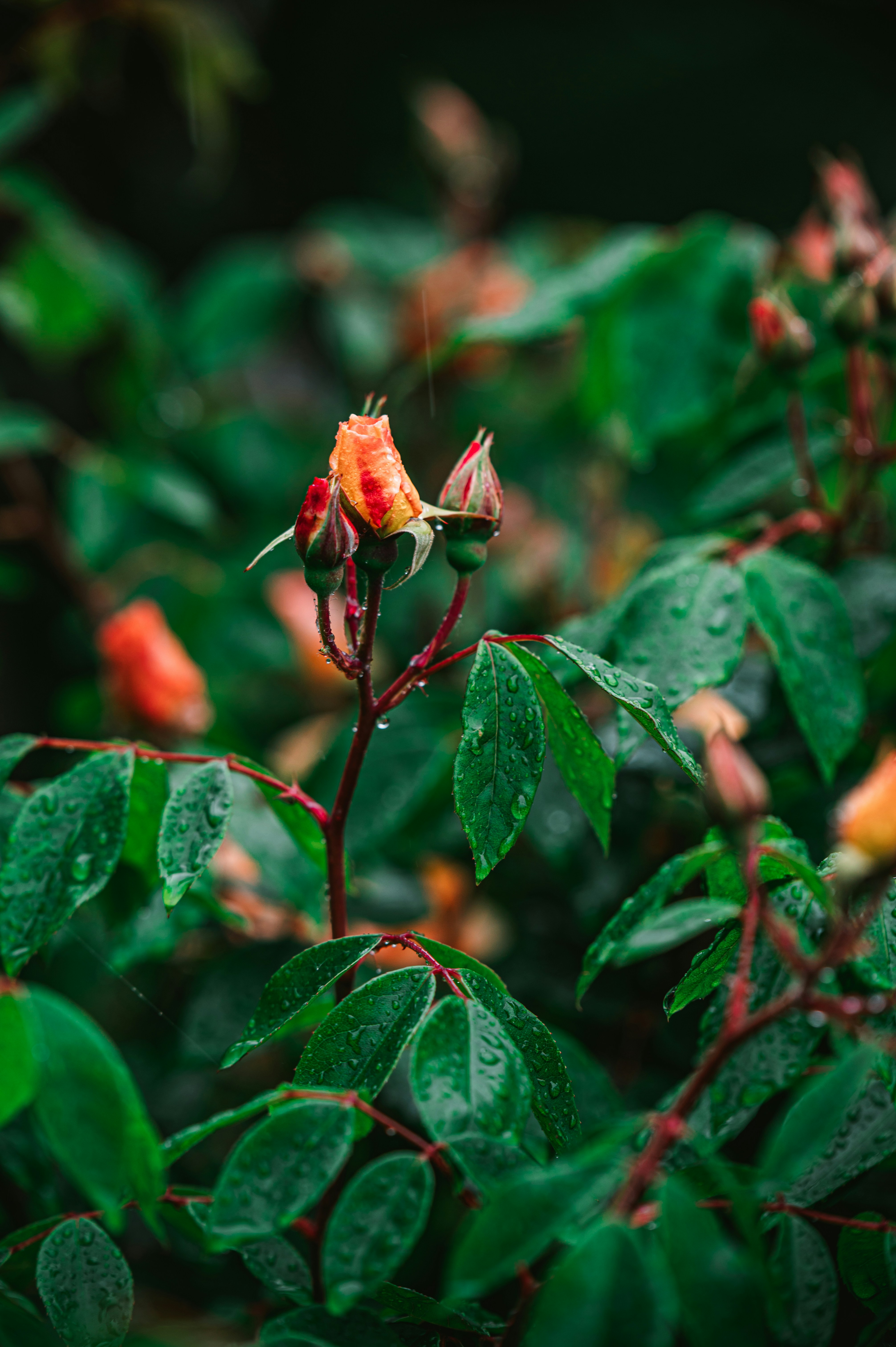 Photo by andreasbrun