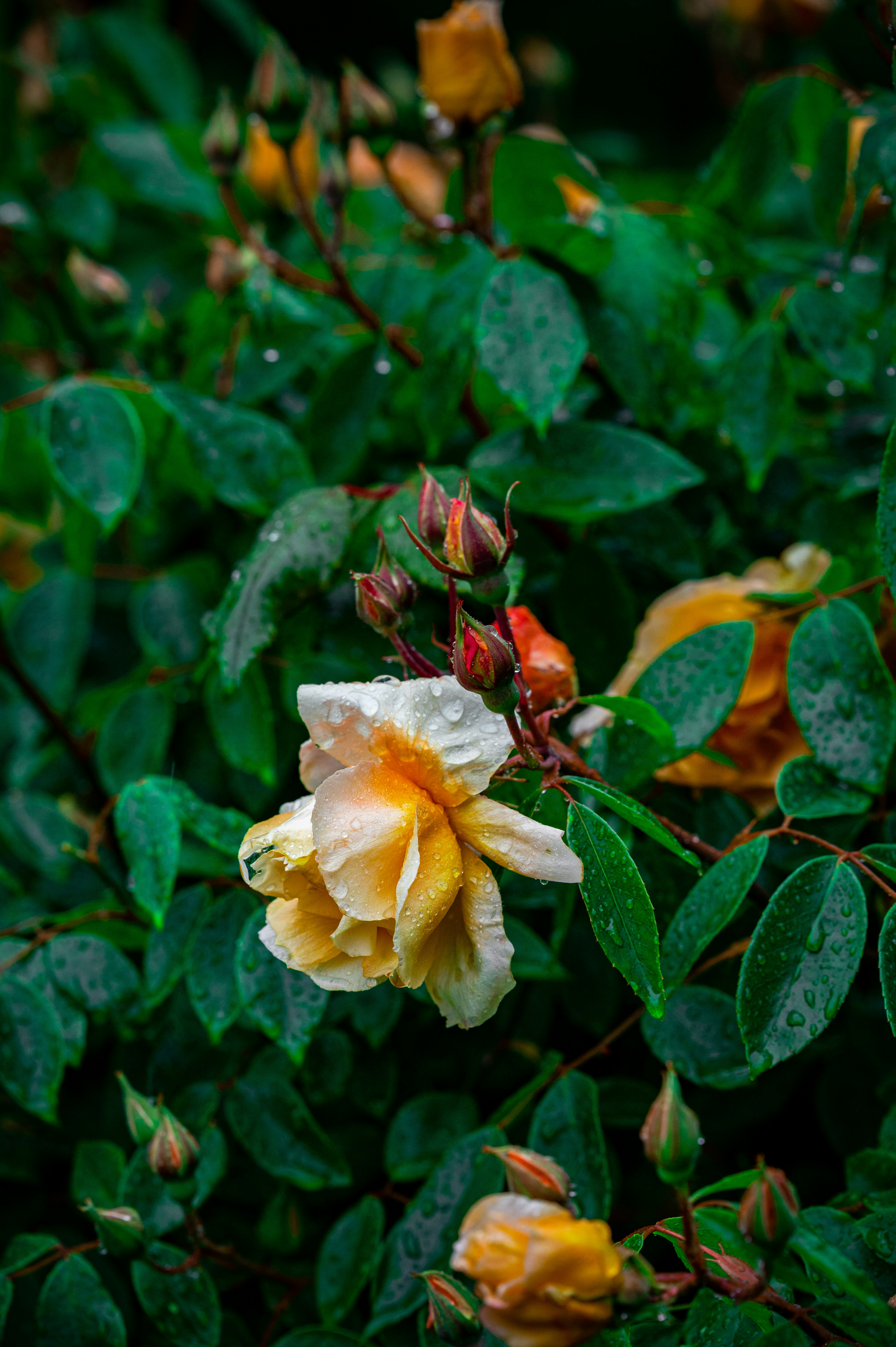 Photo by andreasbrun