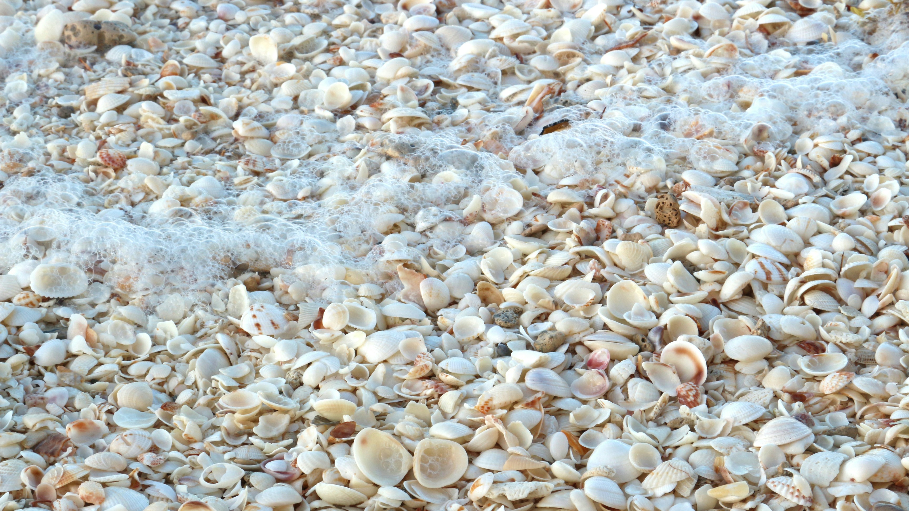 Photo by tania_vanessa