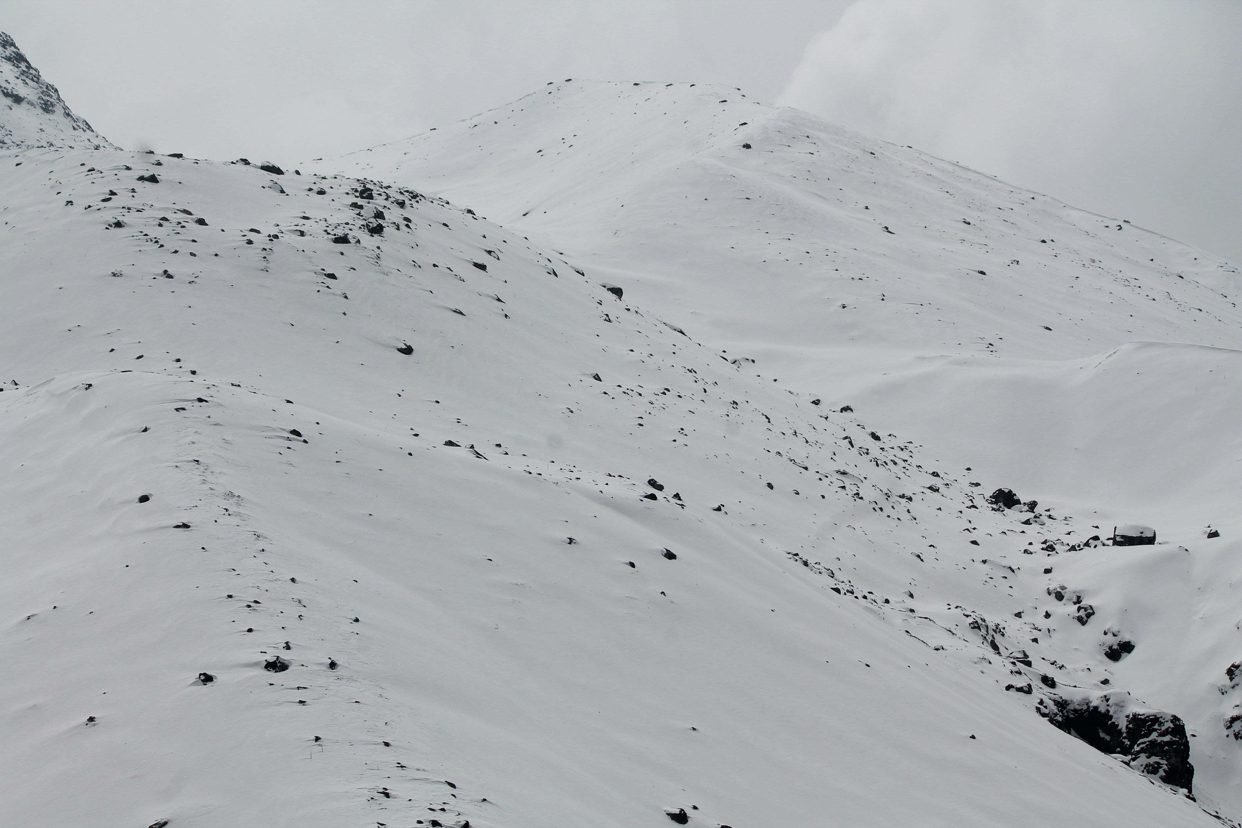 Photo by the_writerati