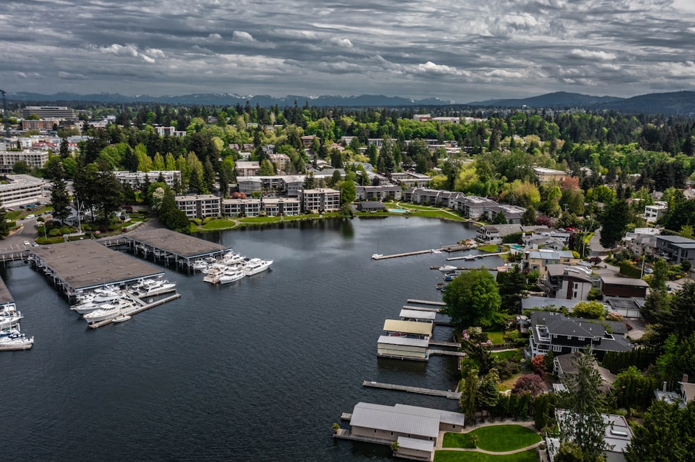 aerial view of city buildings near body of water during daytime