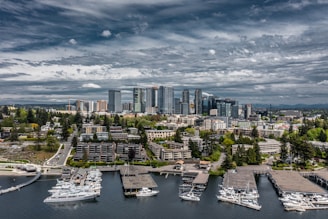 aerial view of city buildings during daytime