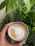 A happy customer holding a vibrant potted plant next to a steaming cup of coffee.