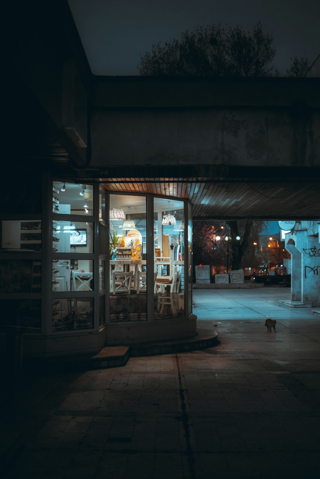 brown wooden store during night time