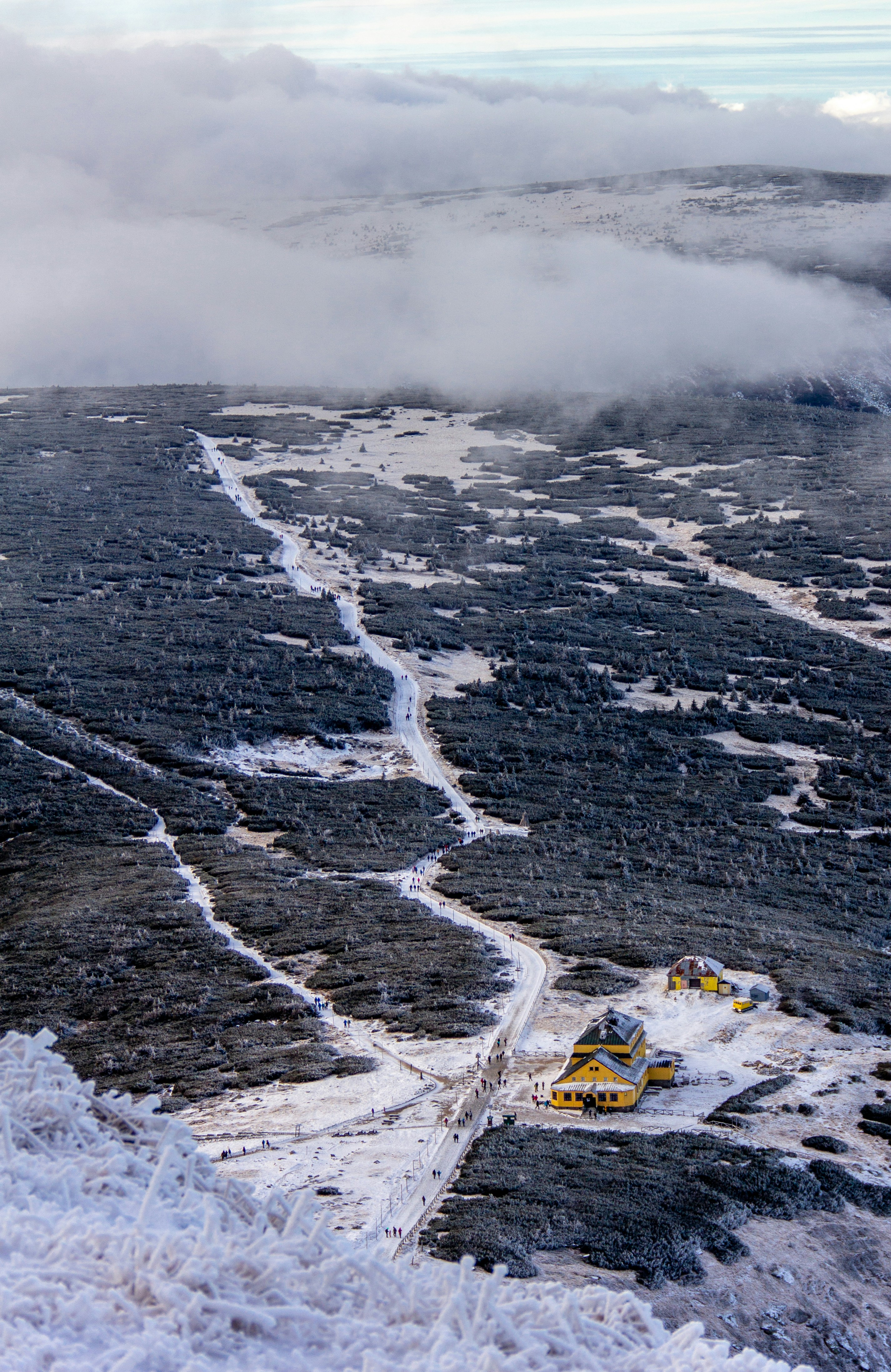 yellow and black car on road