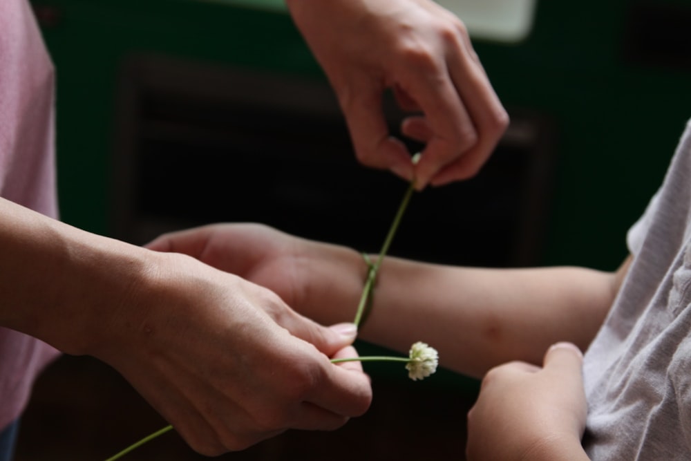 person holding green flower with yellow stigma