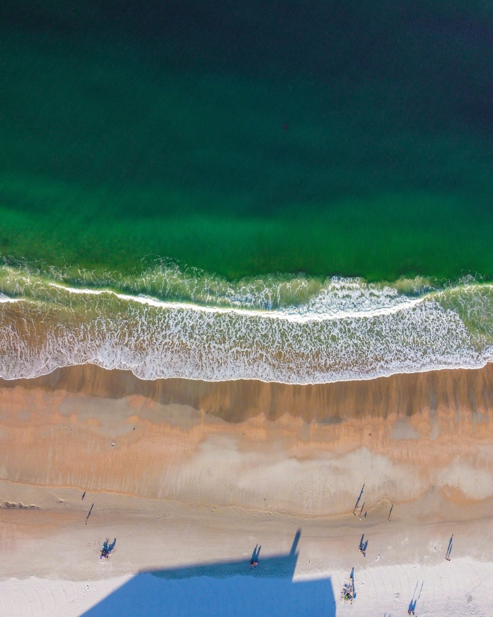 people on beach during daytime