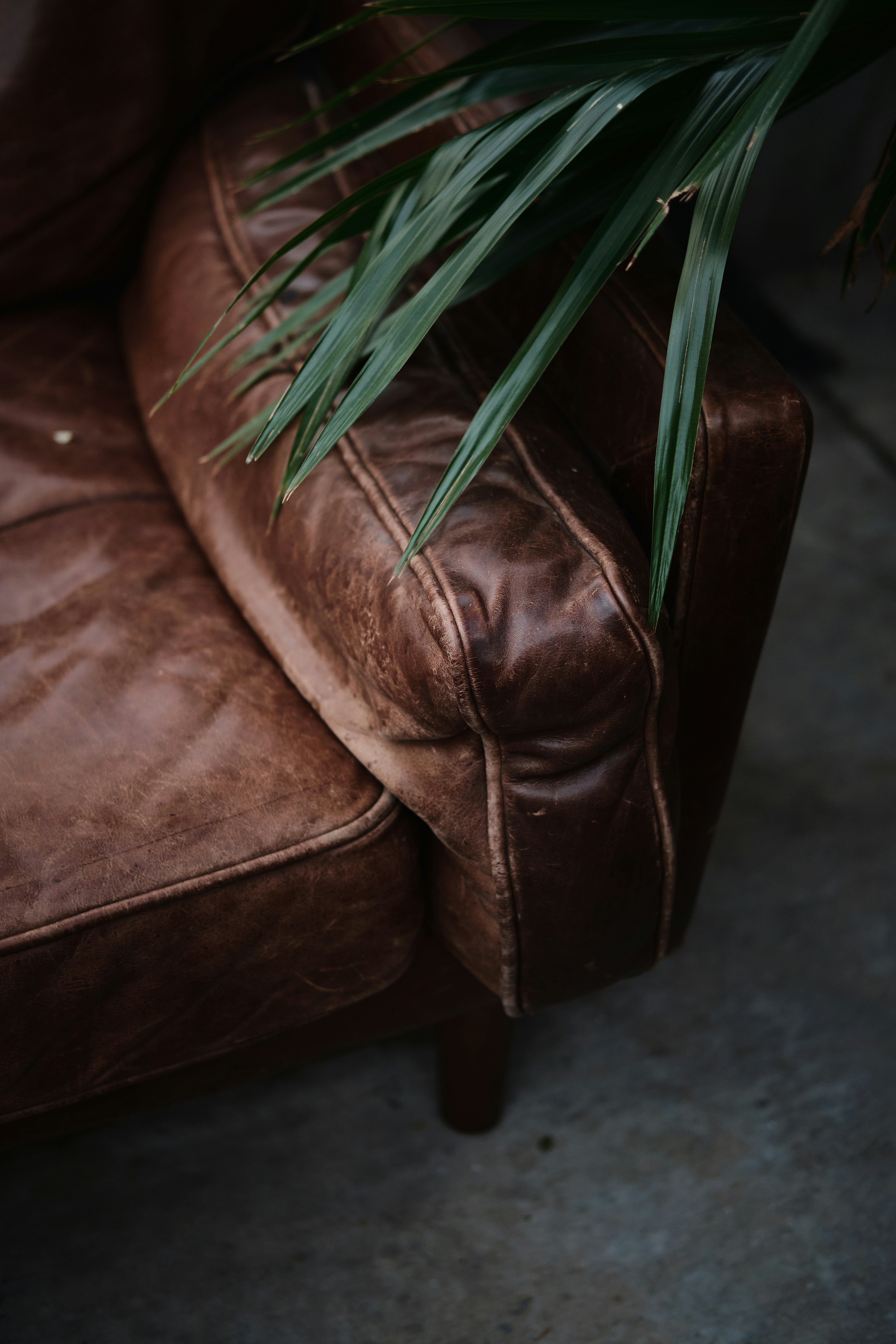 Photo by toeljimothy