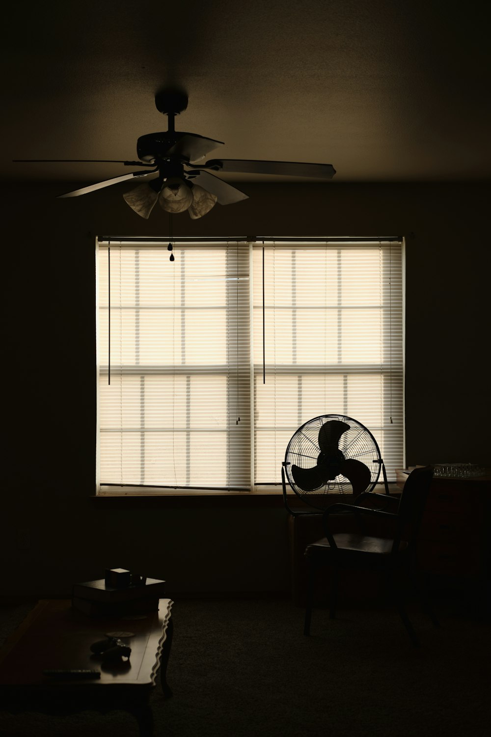 white ceiling fan with light fixture