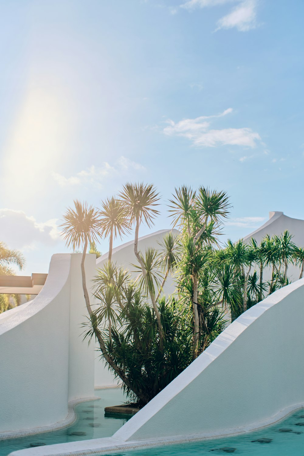 green palm tree near white concrete building during daytime