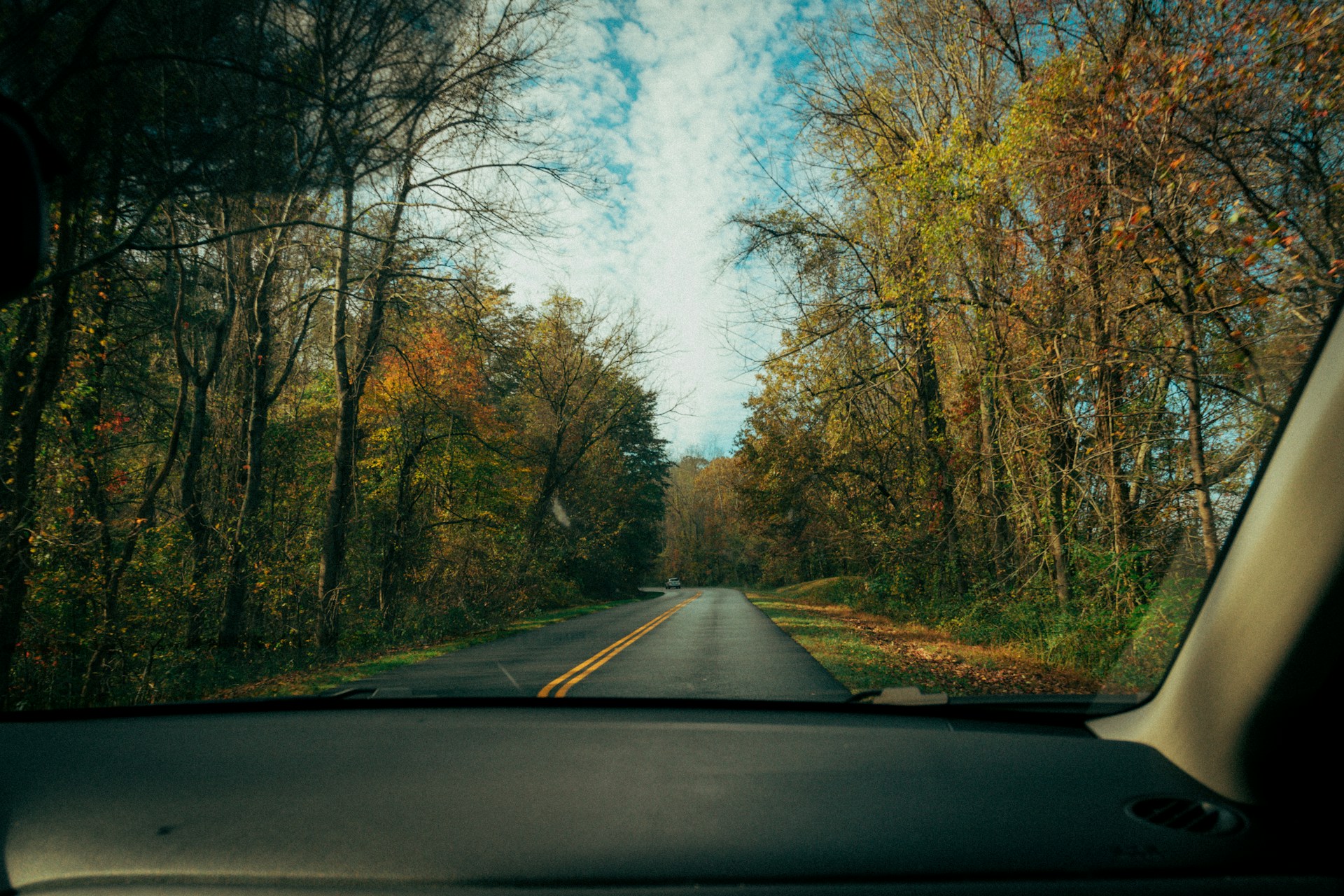 black asphalt road between trees during daytime