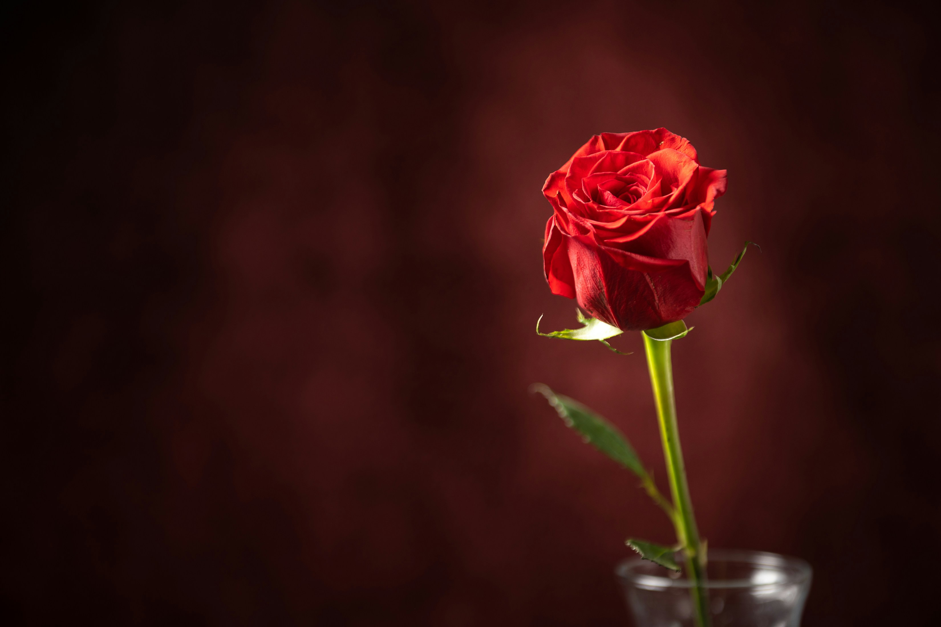 Photo by dreamcapturephotography