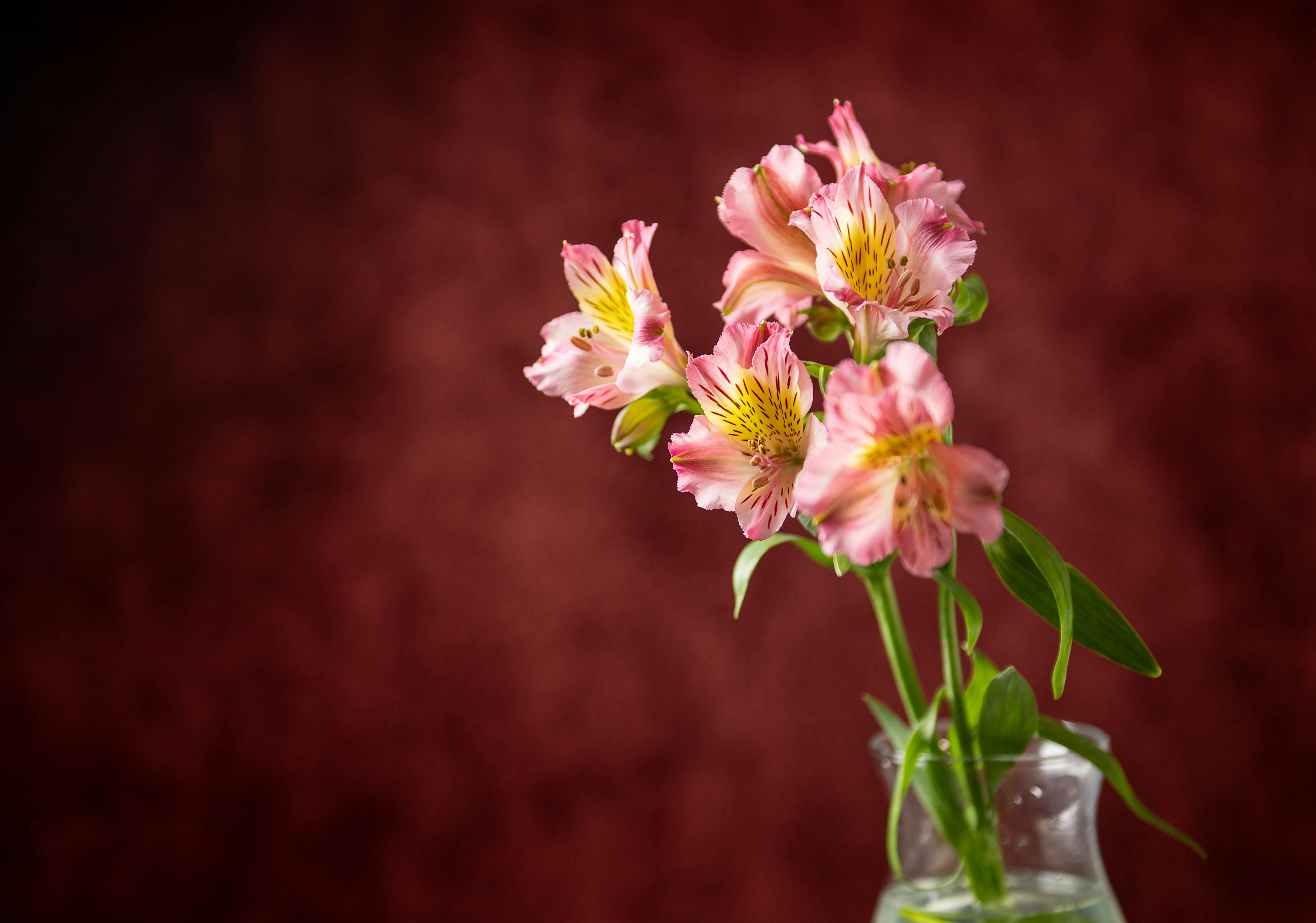 Photo by dreamcapturephotography