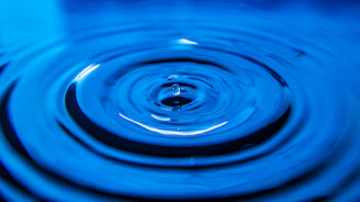 Animated sequence showing ripple expanding outward from a pill button.
