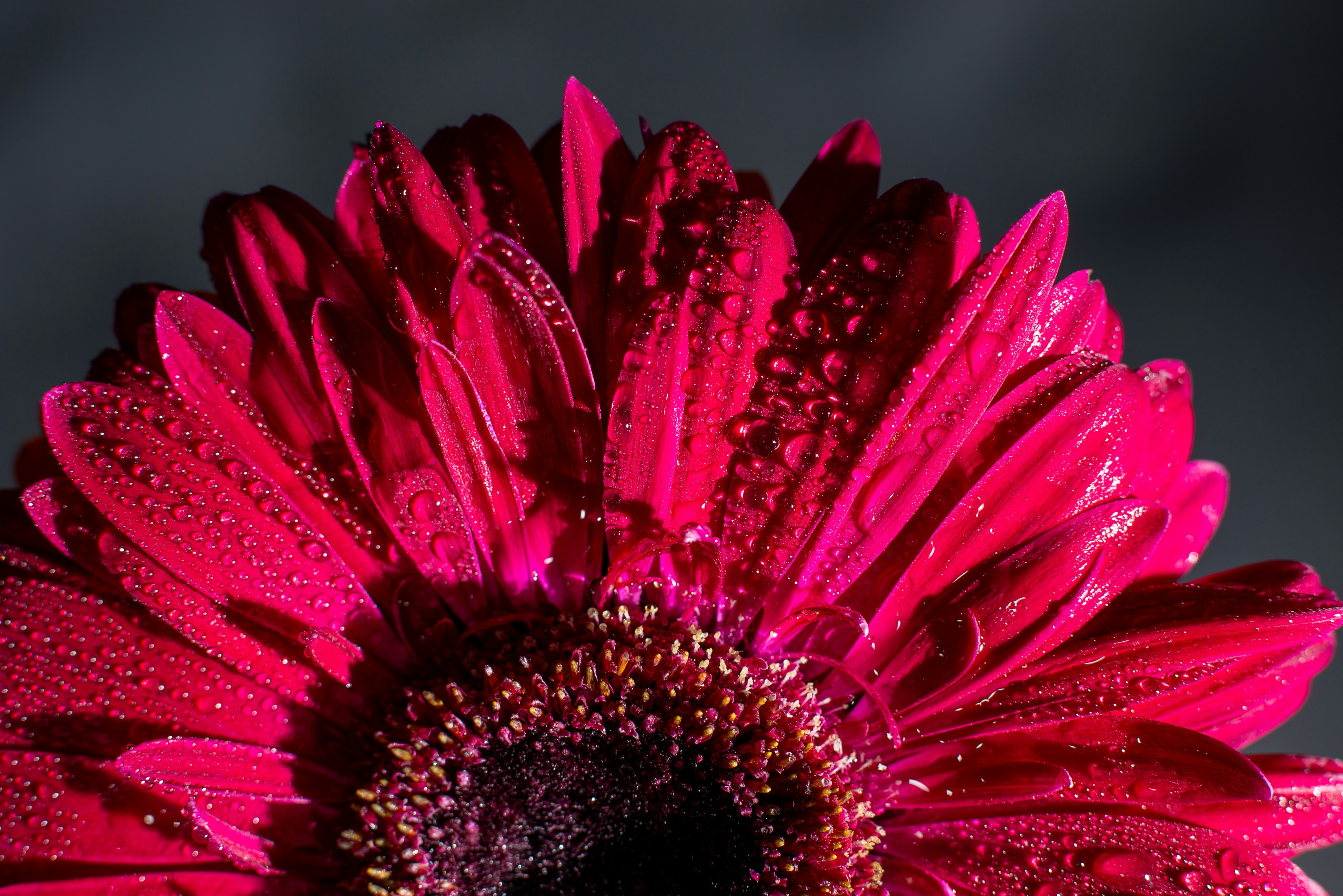 Photo by dreamcapturephotography