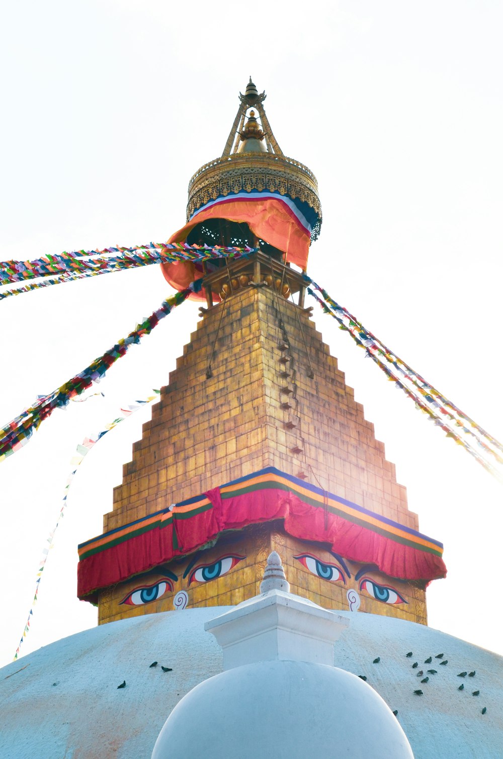 Boudha Pictures  Download Free Images on Unsplash