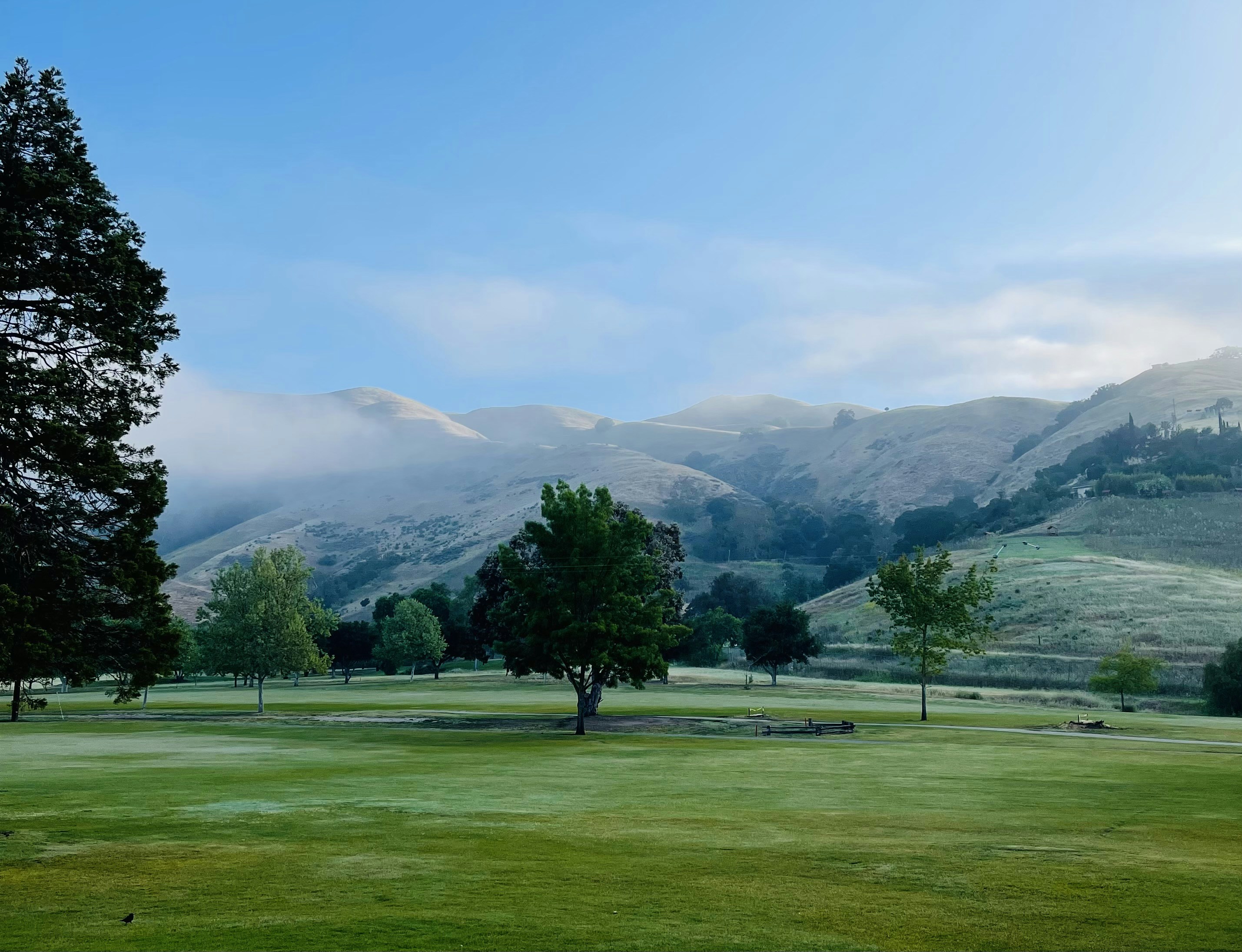 Photo by gerardoramirez