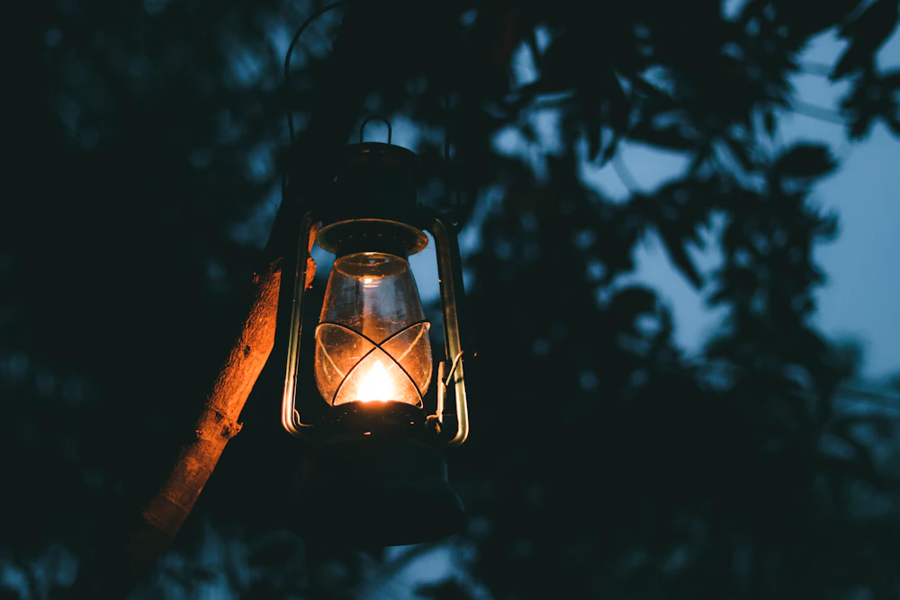 Camping lantern hanging from a branch
